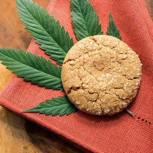 Sprinkle Cookies – Vegan