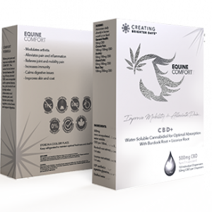 COMFORT – Herbal Equine Supplements