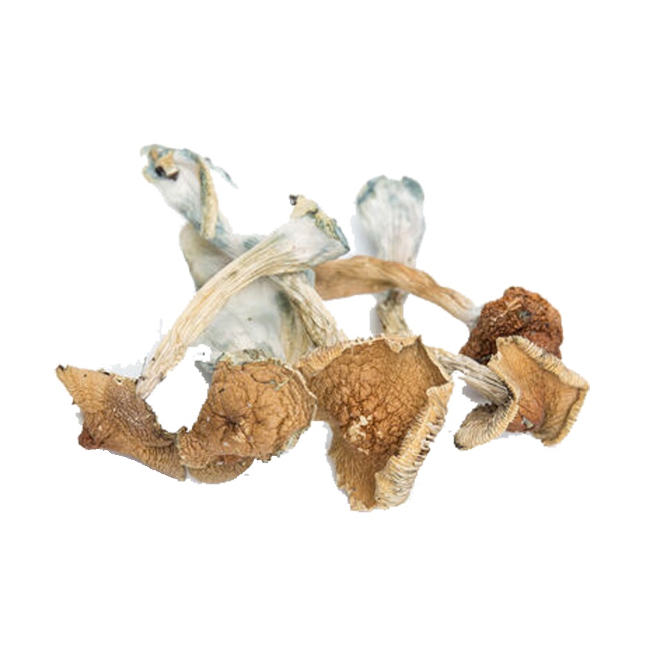Huautla – Dry Mushrooms