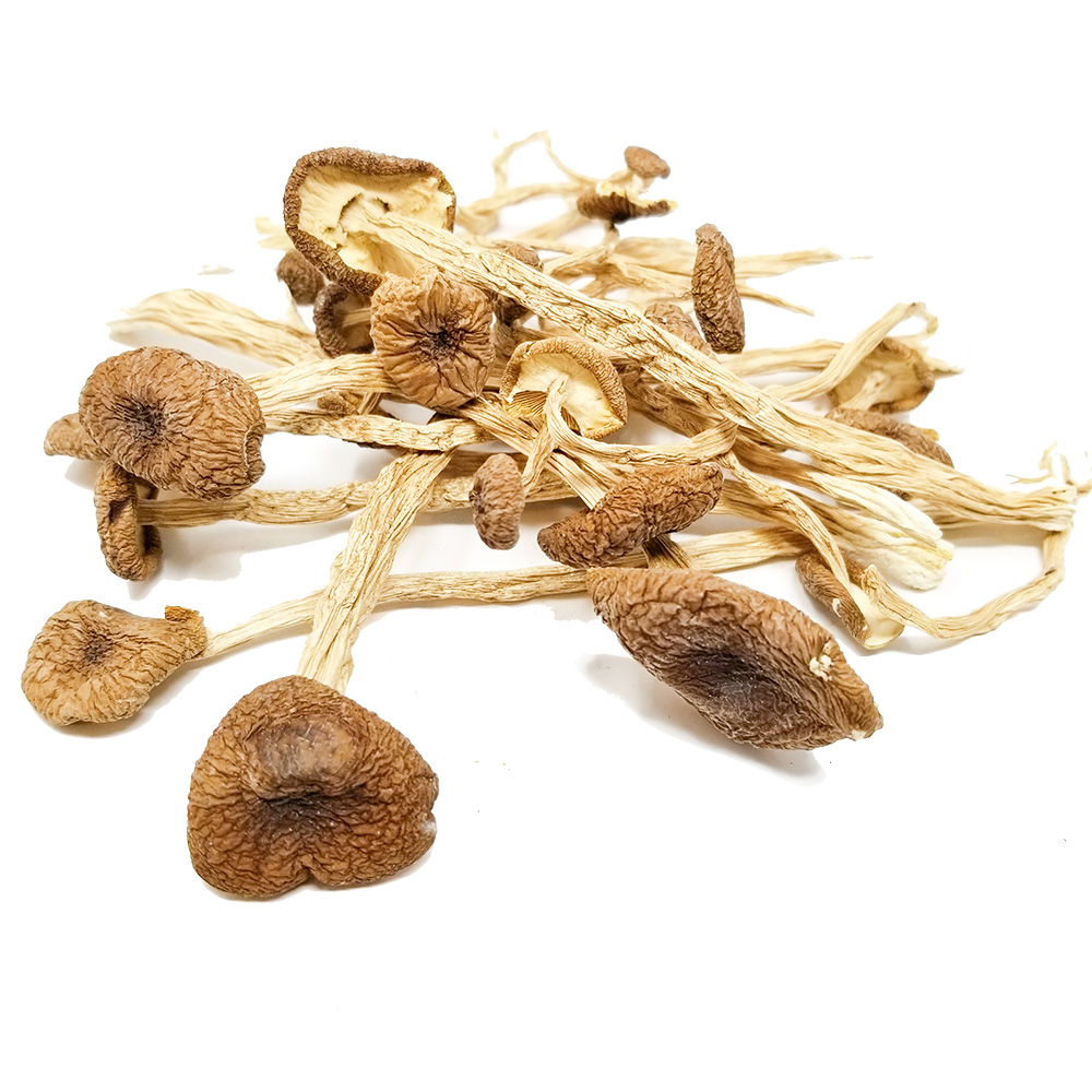 Mexican – Dry Mushrooms