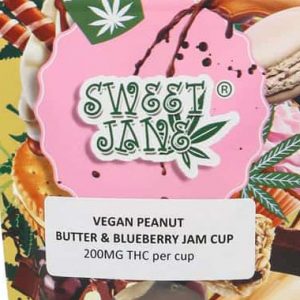 Vegan Peanut Butter and Blueberry Cups – Sweet Jane