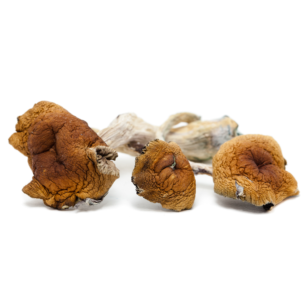 Ecuadorian – Dry Mushrooms