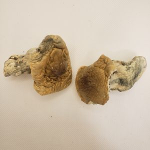 Melmac – Dry Mushrooms