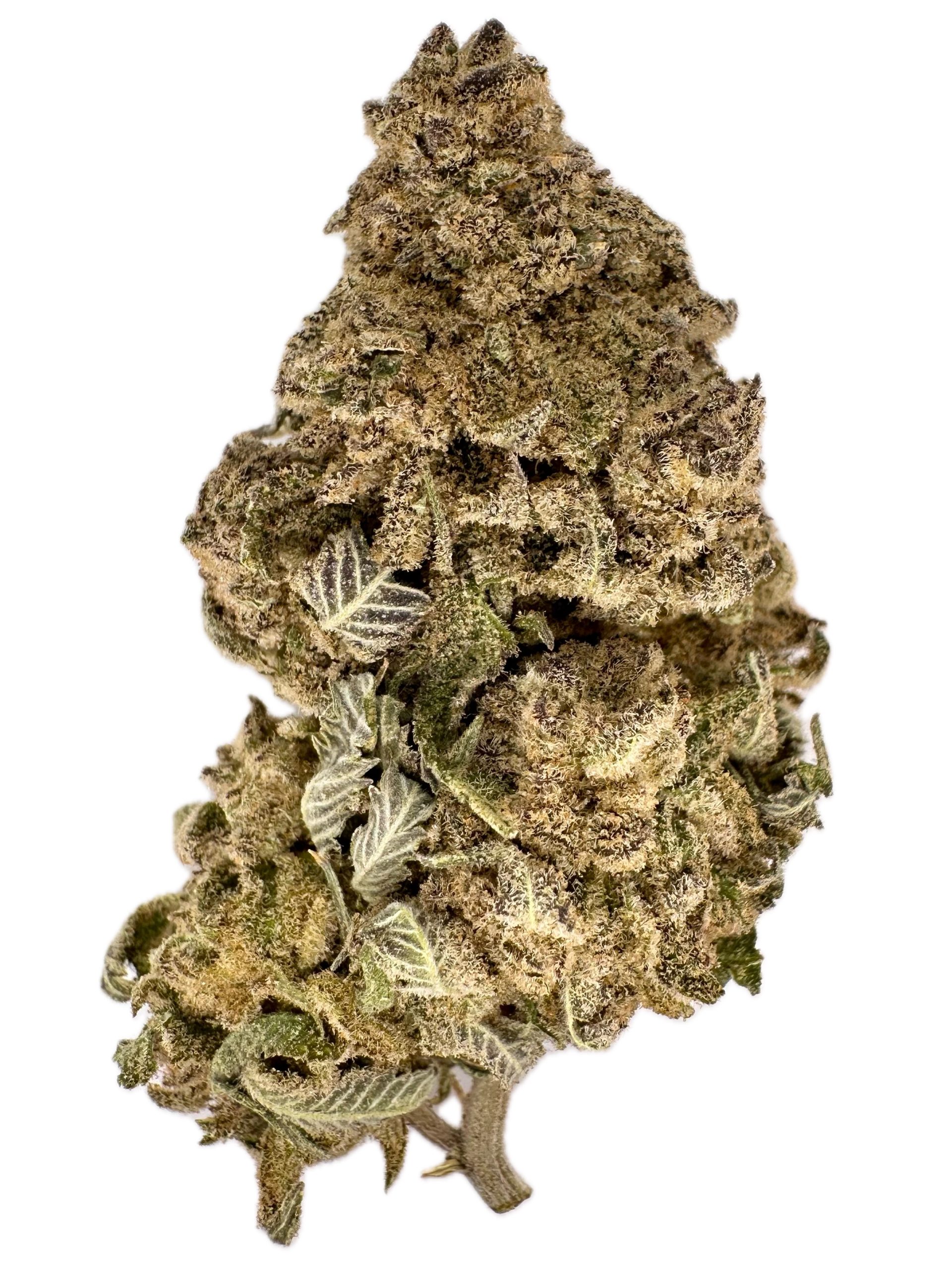 Frozen Lemons – THC: 26% – Sativa Dominant Hybrid – 75% Sativa / 25% Indica