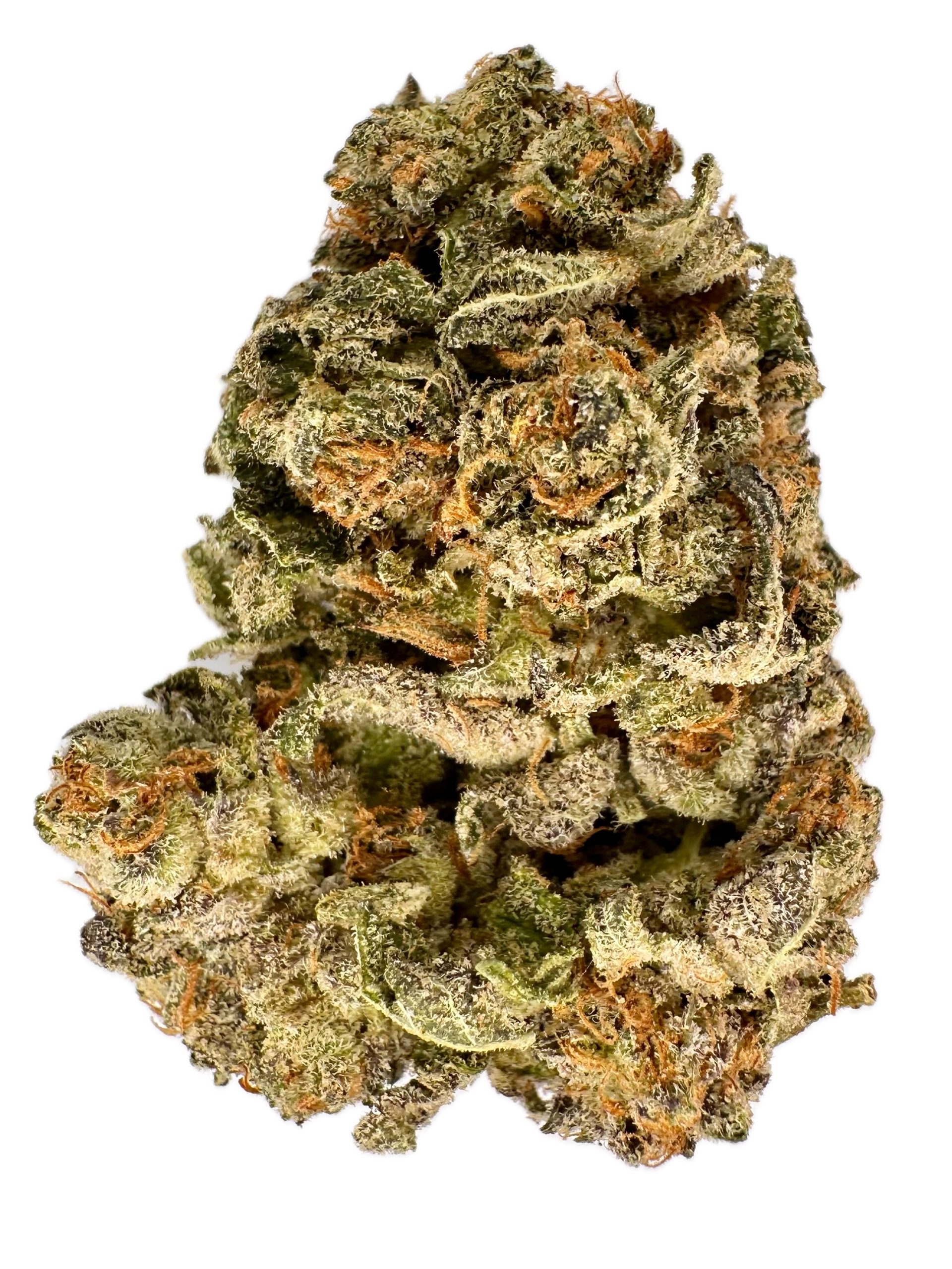 Purple OG Kush – THC: 26% – Hybrid – 50% Sativa /50% Indica