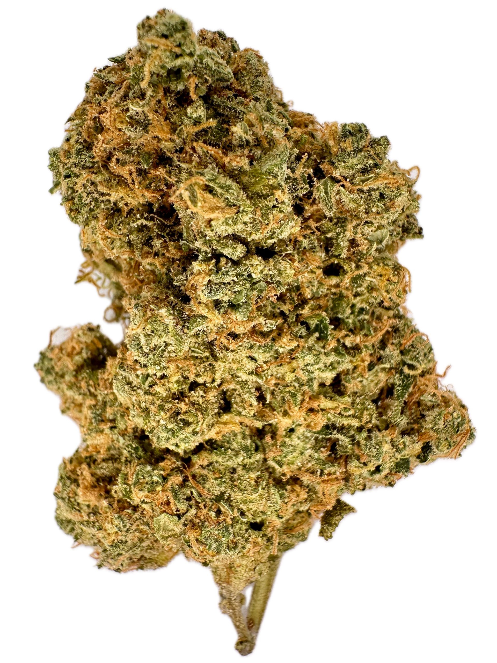 Sucka Punch – THC: 26% – Hybrid – 50% Sativa /50% Indica