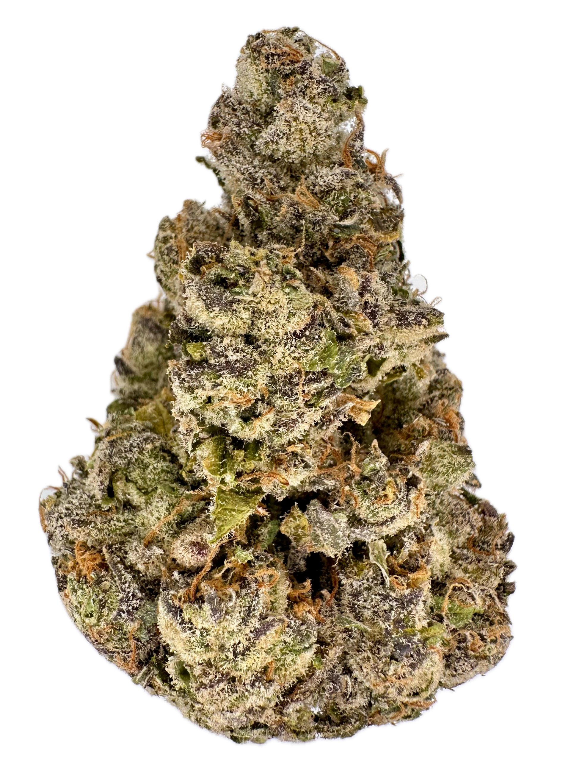 Domina Cough – THC: 28% – Indica Dominant Hybrid – 95% Indica / 5% Sativa