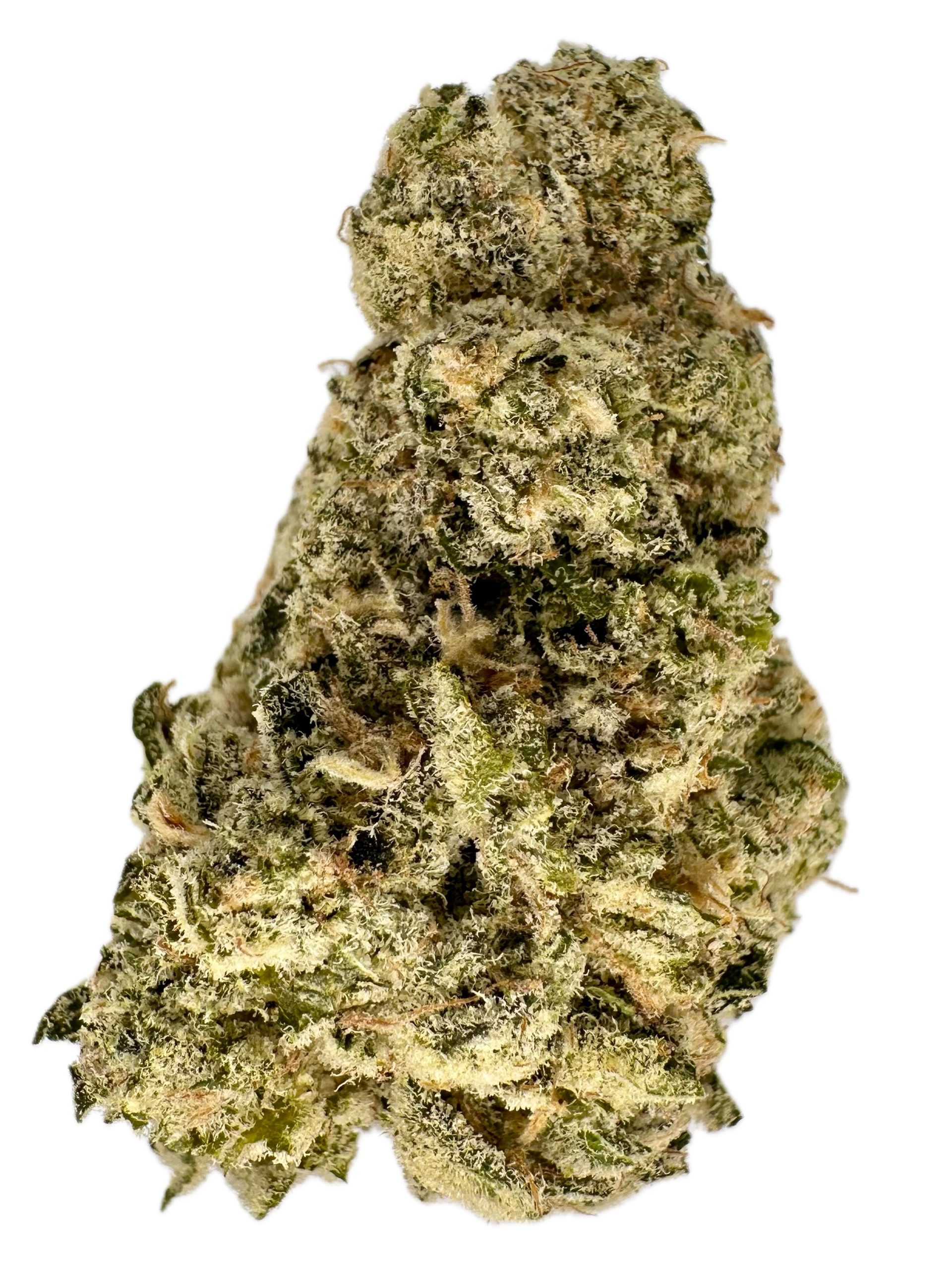 Gladiator – THC: 26% – Indica Dominant Hybrid – 80% Indica / 20% Sativa