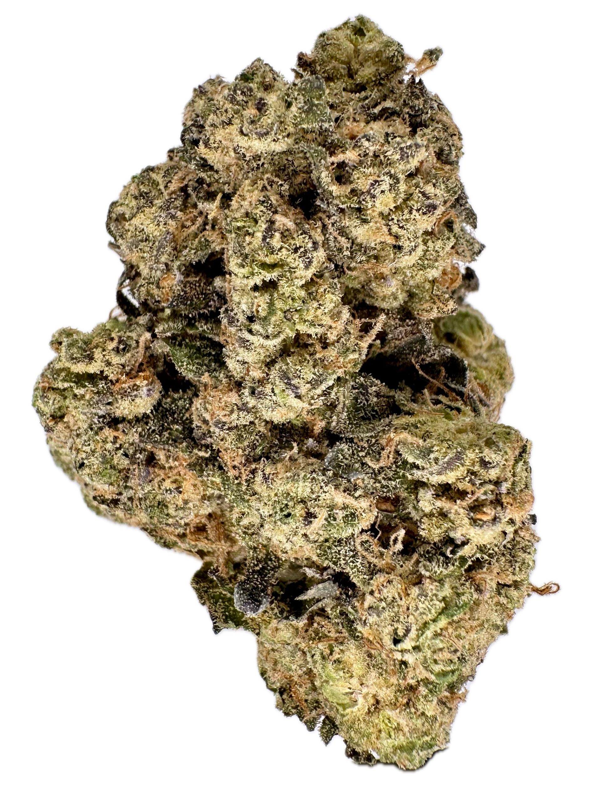 Gush Mints – THC: 26% – Indica Dominant Hybrid – 70% Indica / 30% Sativa