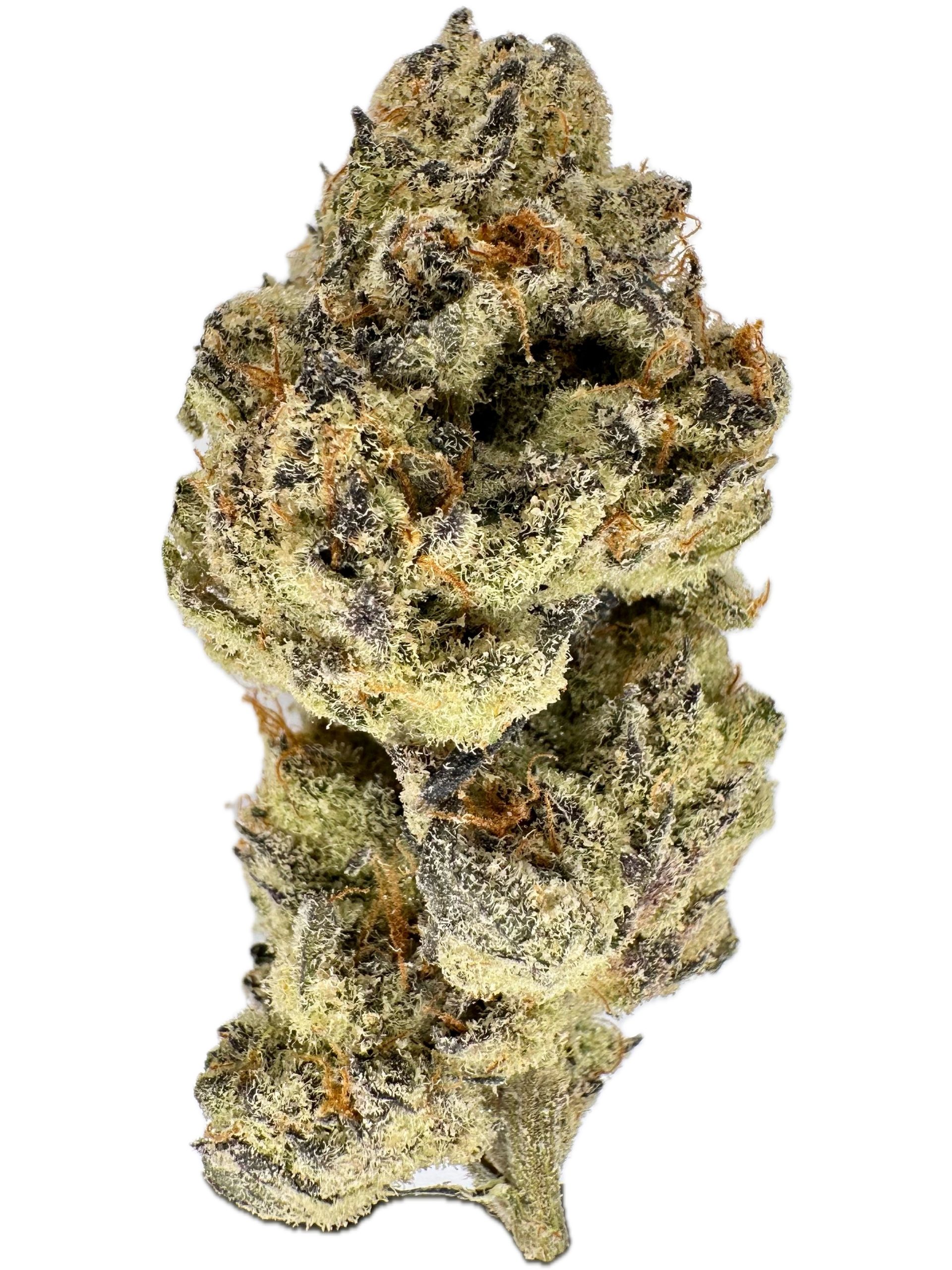 Headbanger – THC: 28% – Sativa Dominant Hybrid – 70% Sativa / 30% Indica