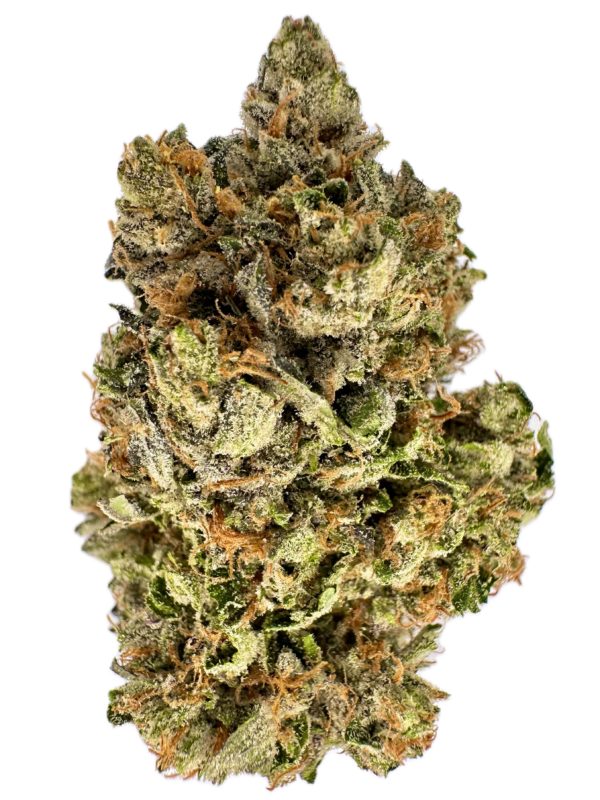 Bluefin Tuna Kush - THC: 24% - Indica Dominant Hybrid - 60% Indica / 40% Sativa