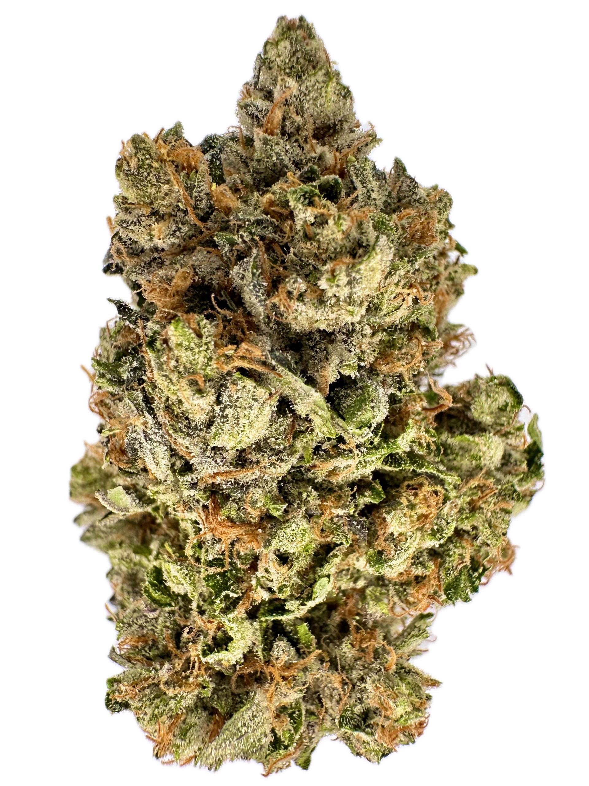 Bluefin Tuna Kush – THC: 24% – Indica Dominant Hybrid – 60% Indica / 40% Sativa