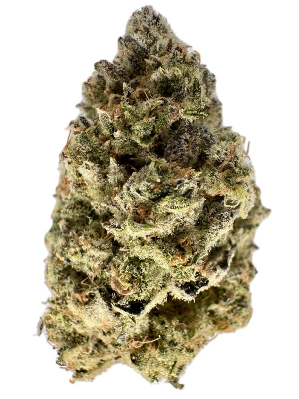 Choco Bubba Kush - THC: 26% - Hybrid - 50% Sativa /50% Indica