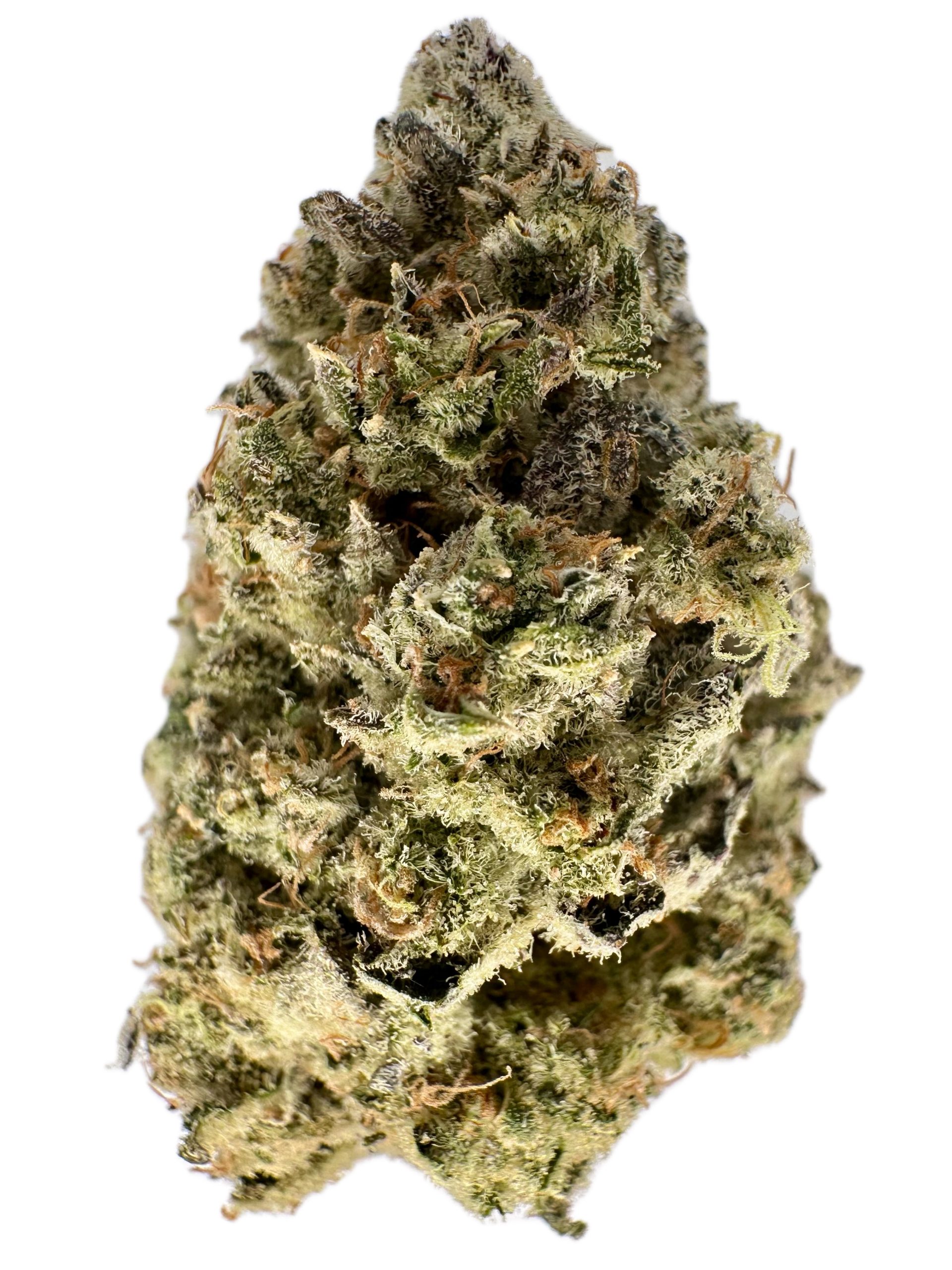 Choco Bubba Kush – THC: 26% – Hybrid – 50% Sativa /50% Indica