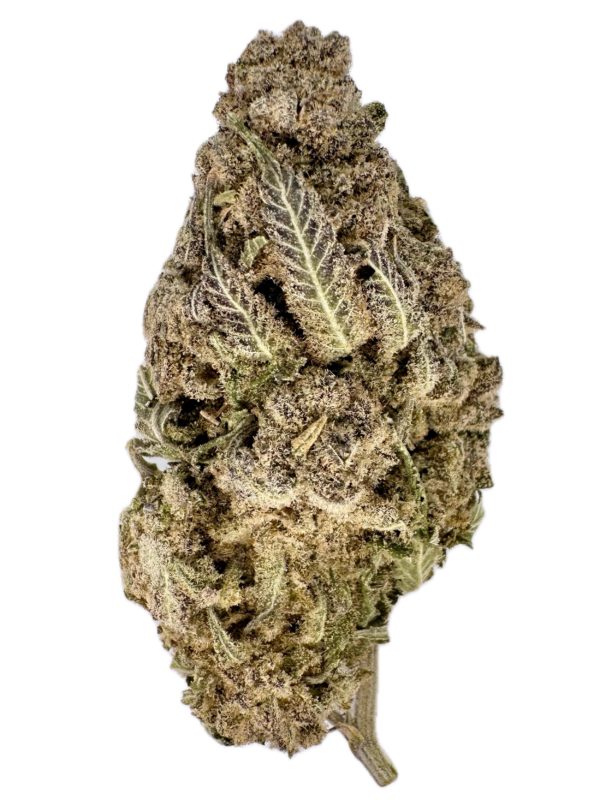 Frozen Lemons - THC: 22% - Sativa Dominant Hybrid - 75% Sativa / 25% Indica