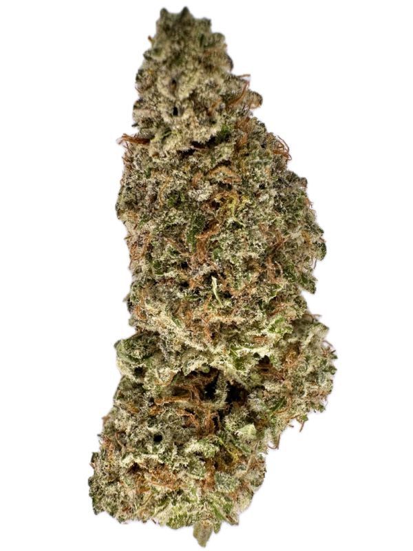 Gods Blue Cough - THC: 22% - Indica Dominant Hybrid - 70% Indica / 30% Sativa