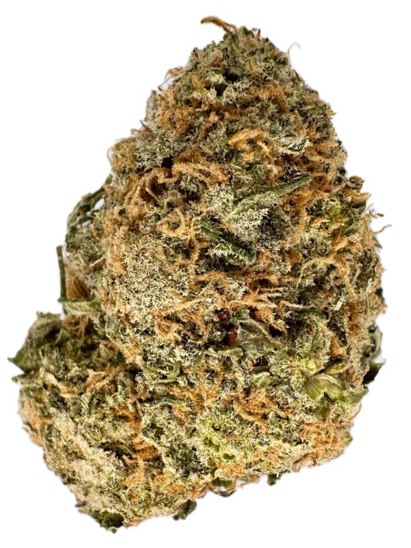 Golden Panda - THC: 26% - Sativa Dominant Hybrid - 70% Sativa / 30% Indica