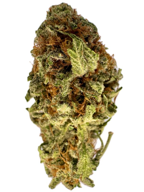 Hawaiian Haze - THC: 26% - Hybrid - 50% Sativa / 50% Indica