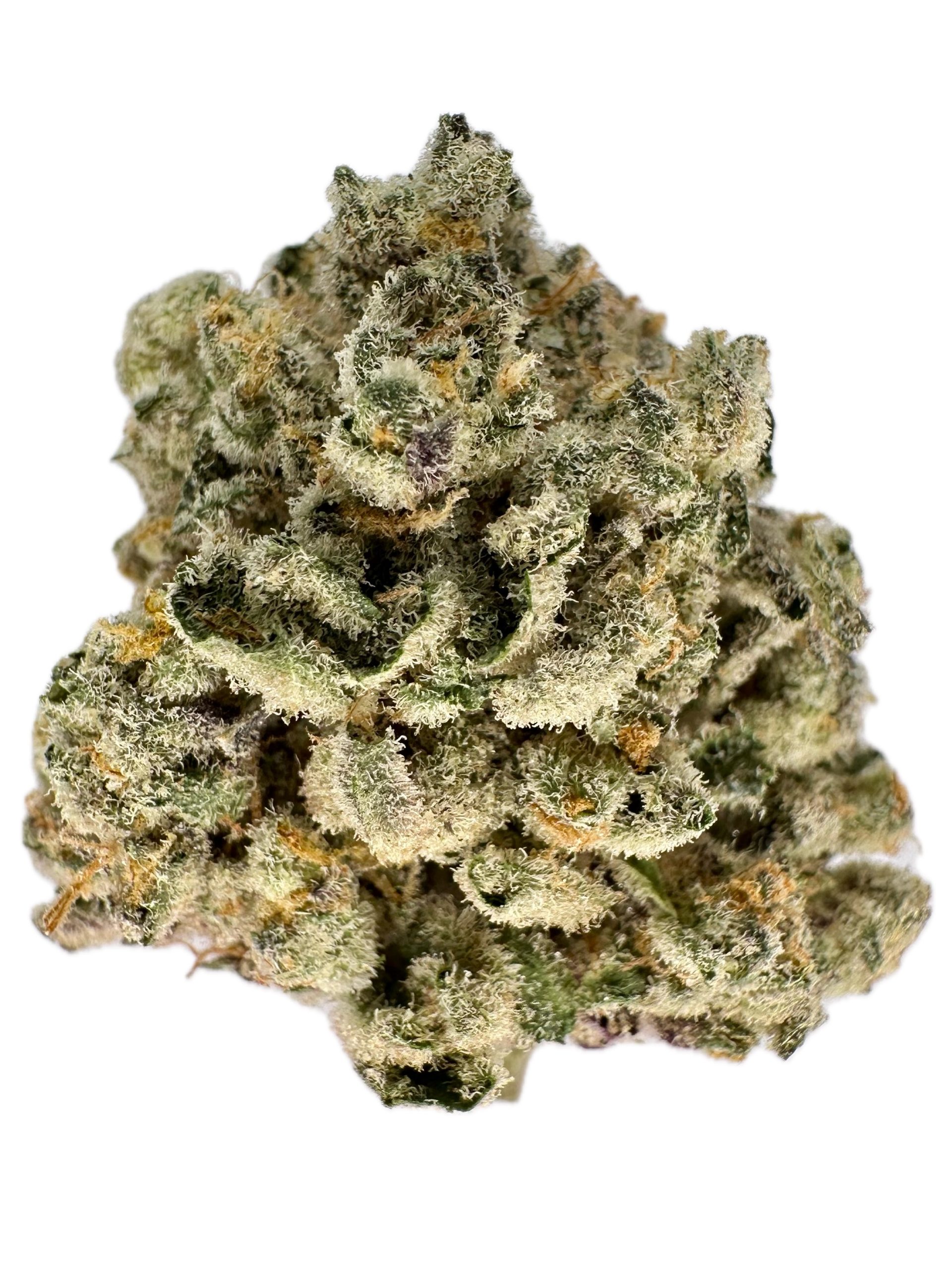 MAC n Gravy – THC: 26% – Sativa Dominant Hybrid – 70% Sativa / 30% Indica