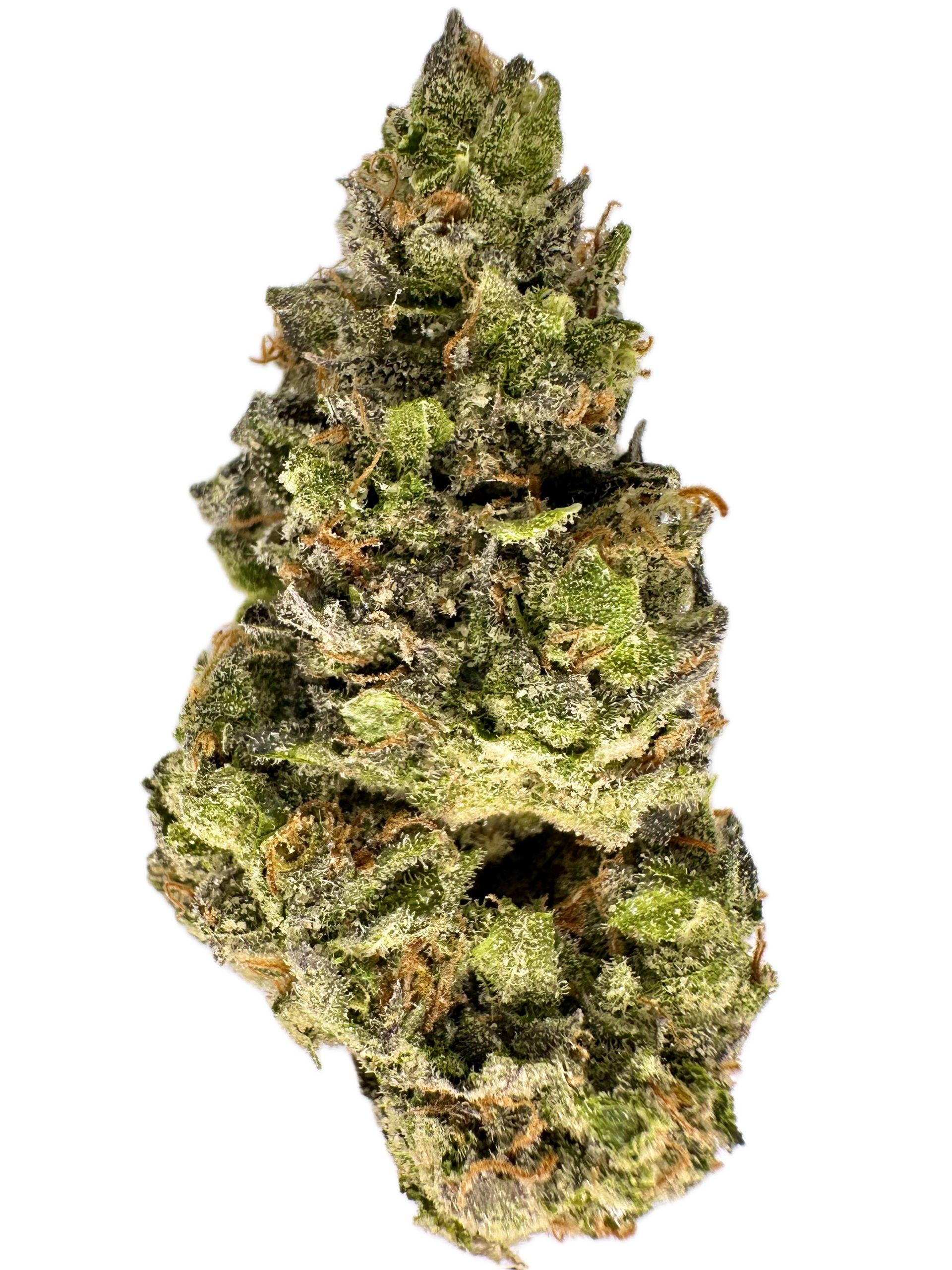 Terp Town – THC:  26% – Hybrid – 50% Sativa /50% Indica