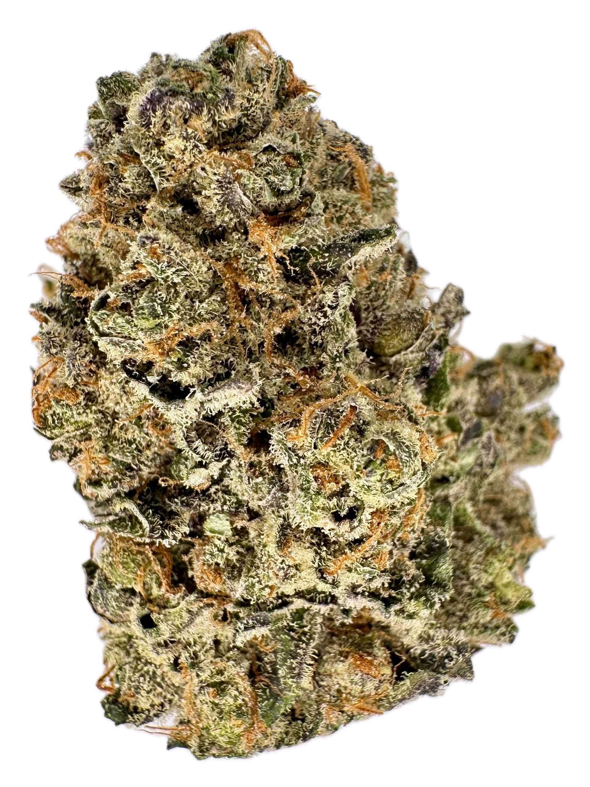 ABC x Cali Kush – THC: 32% – Sativa Dominant Hybrid – 90% Sativa / 10% Indica