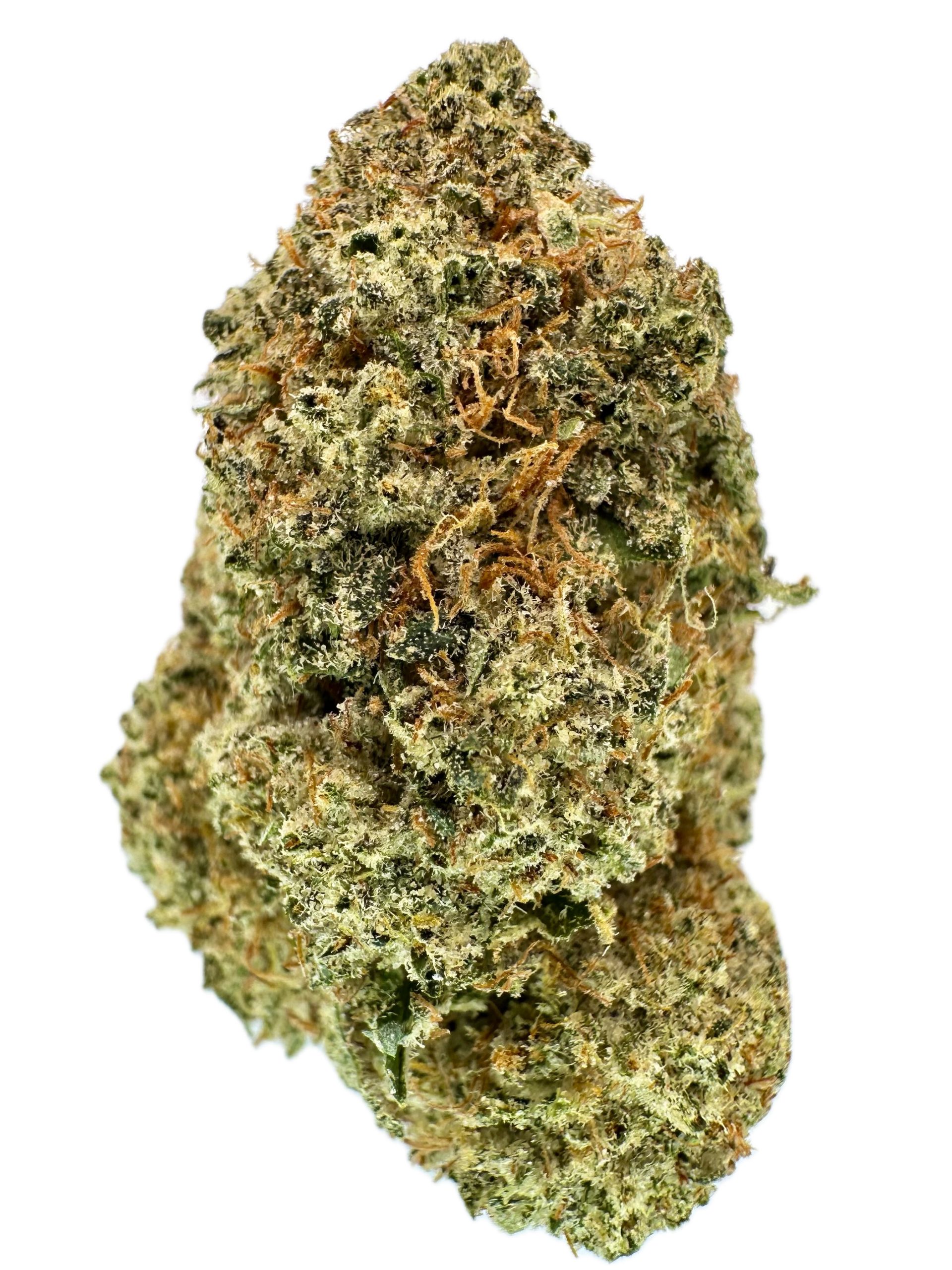 Jesus OG – THC: 21% – Sativa Dominant Hybrid – 80% Sativa / 20% Indica
