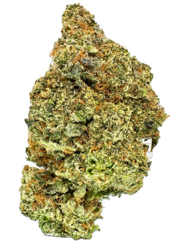 Platinum Jealous x Black Soda - THC: 22% - Sativa Dominant Hybrid - 80% Sativa / 20% Indica