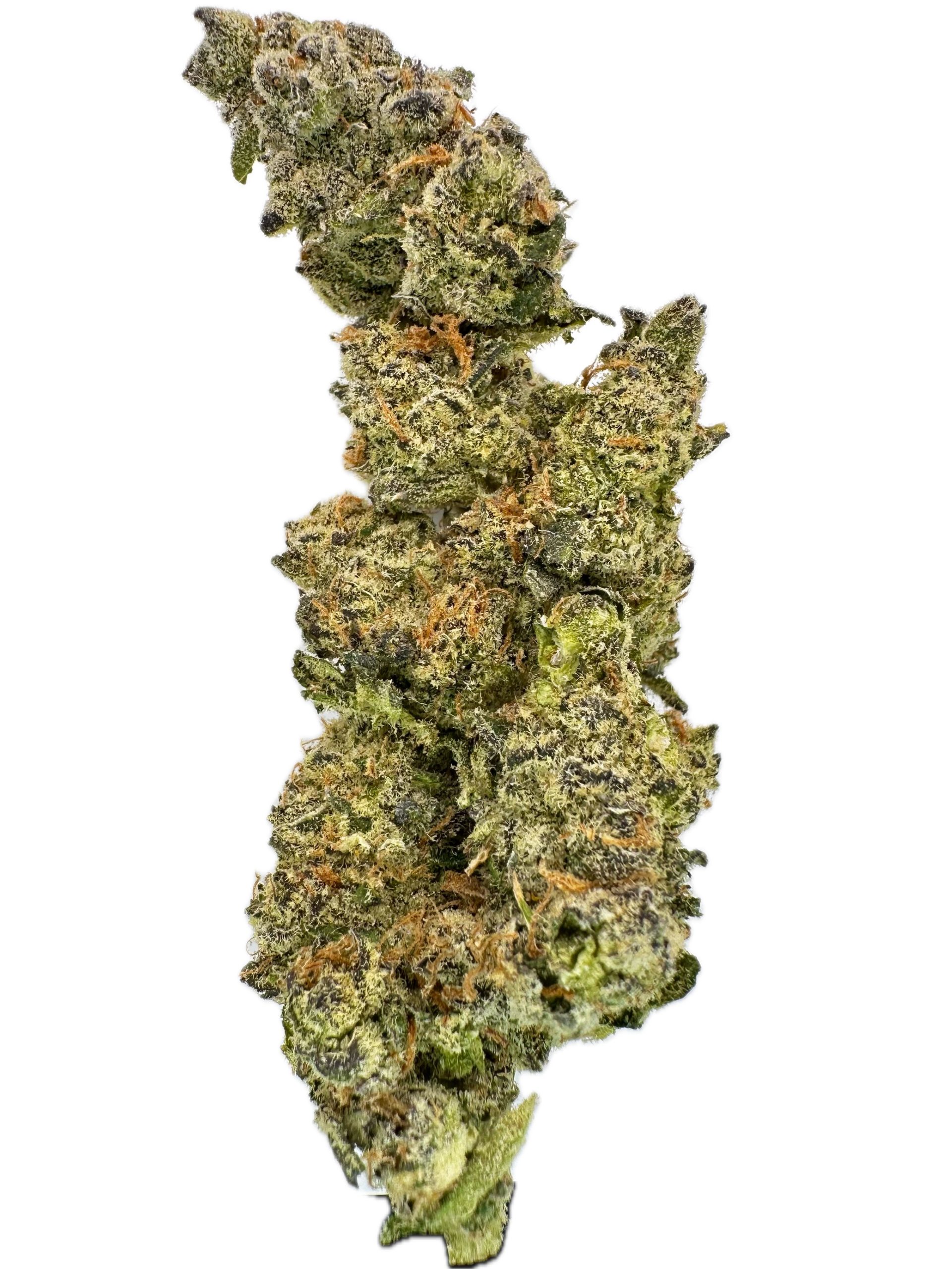Blizzard of Oz – THC: 26% – Indica Dominant Hybrid – 70% Indica / 30% Sativa