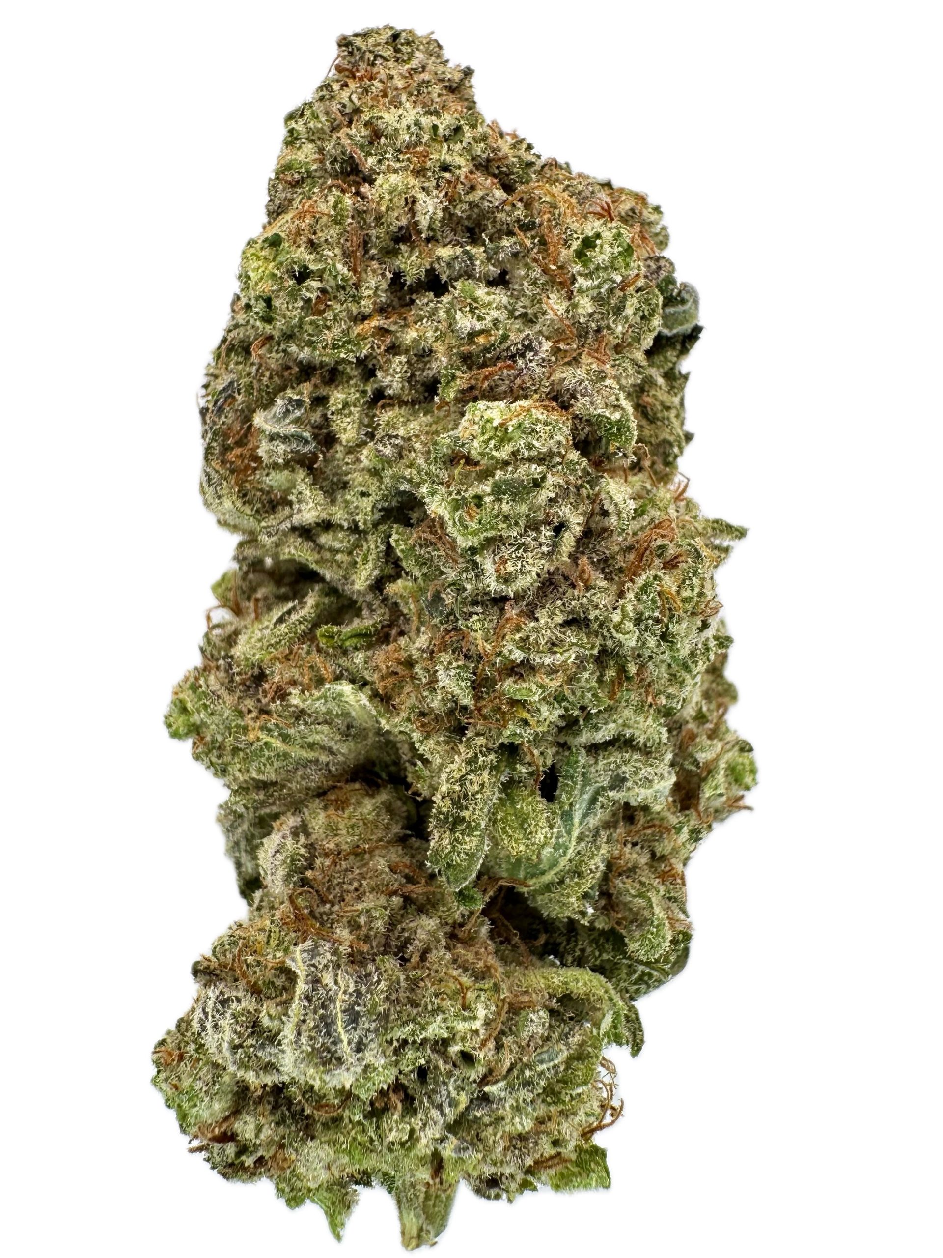 Mango Haze – THC: 22% – Hybrid – 50% Sativa /50% Indica