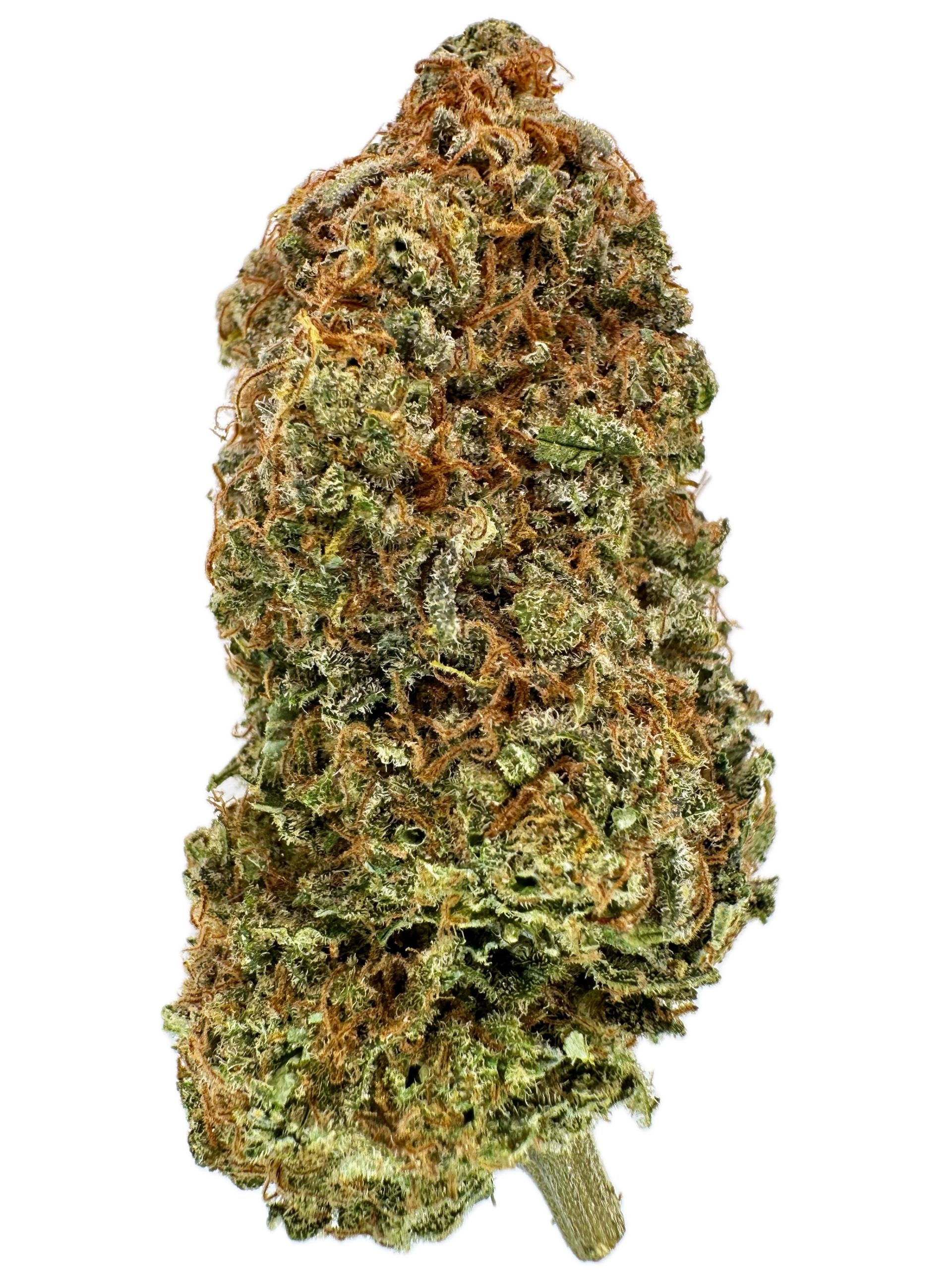 Northern Blue Haze – THC: 29% – Indica Dominant Hybrid – 70% Indica / 30% Sativa