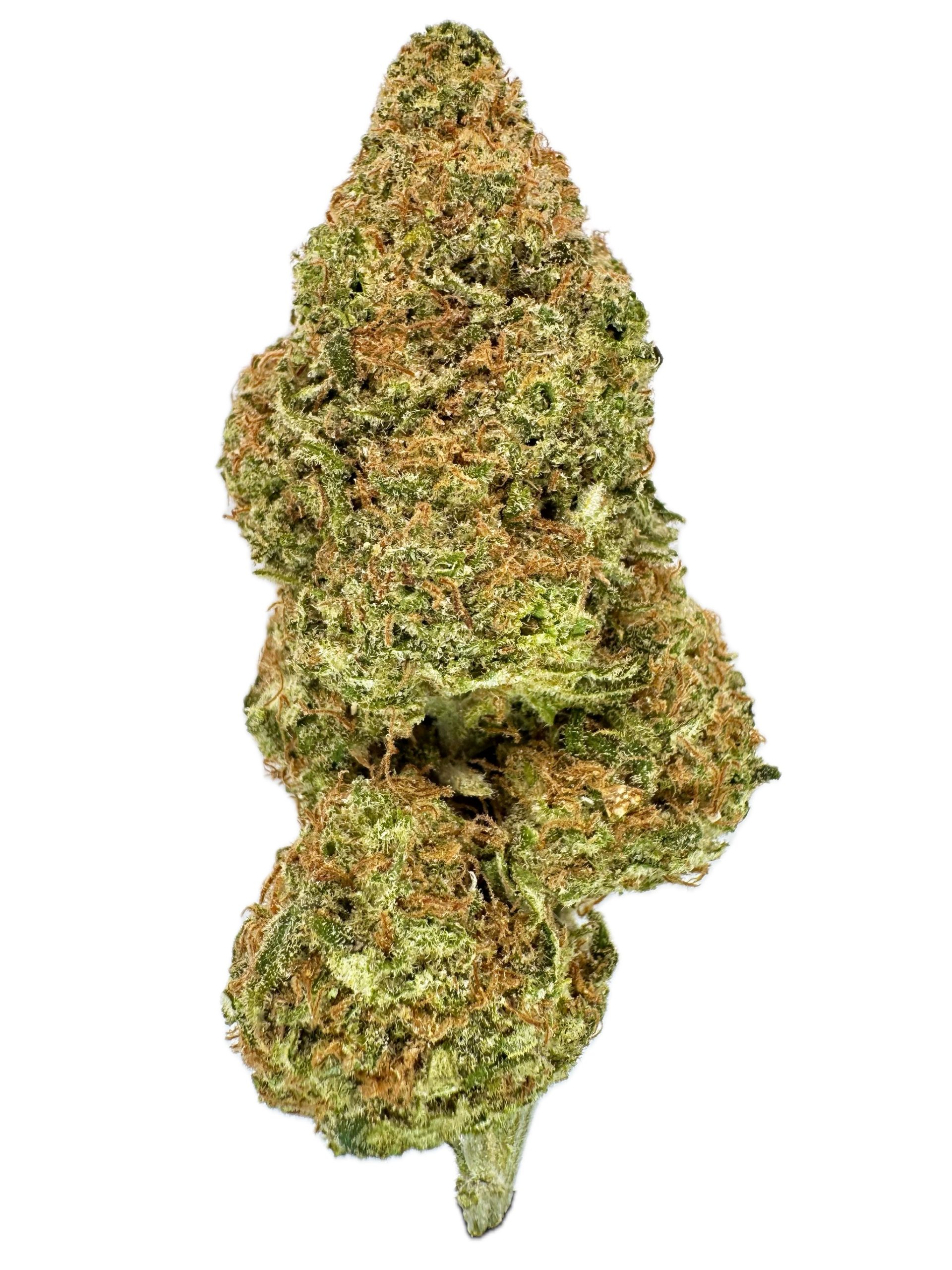 Pineapple Express – THC: 24% – Sativa Dominant Hybrid – 60% Sativa / 40% Indica