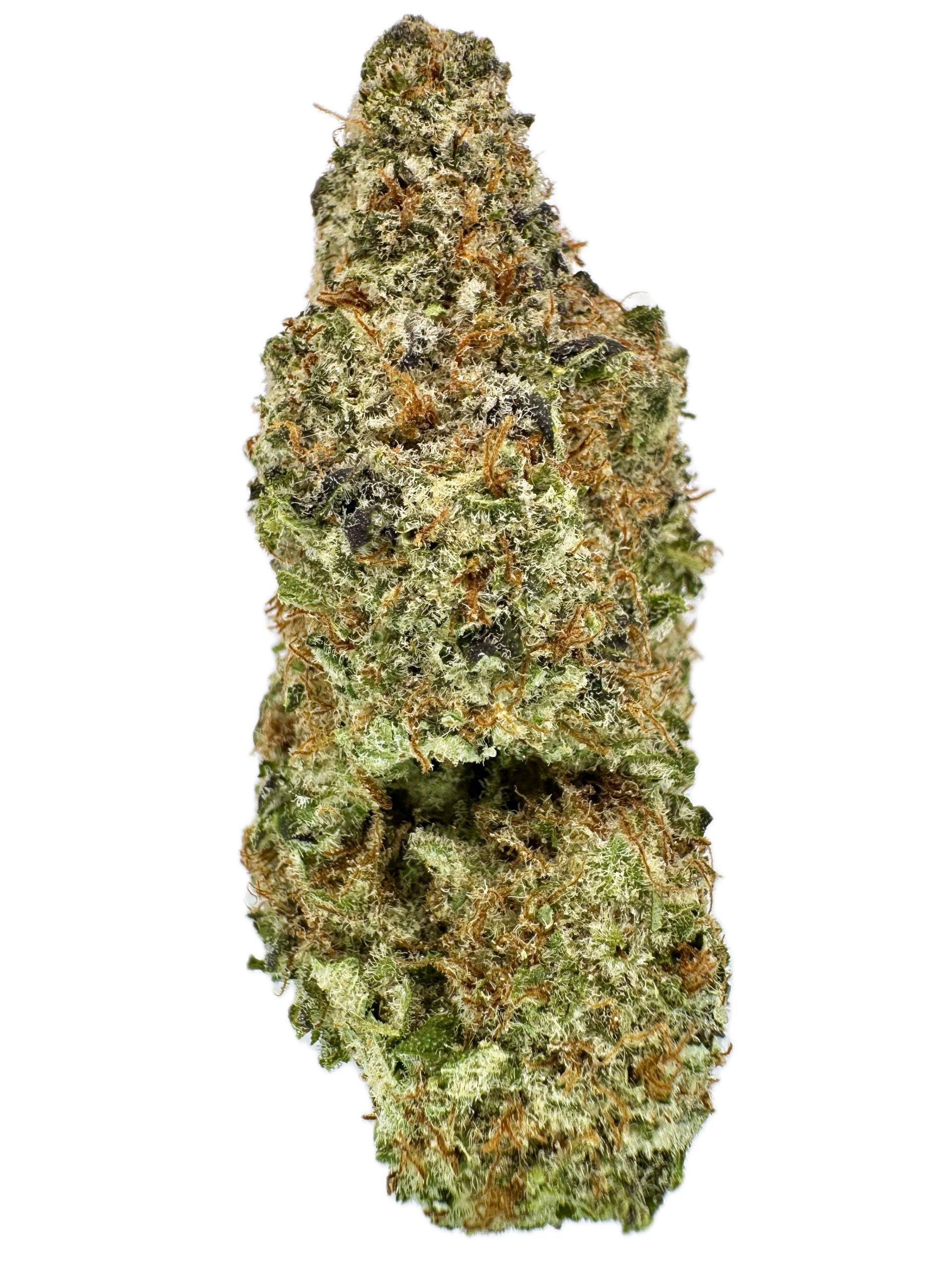 Snow Lotus – THC: 28% – Hybrid – 50% Sativa /50% Indica