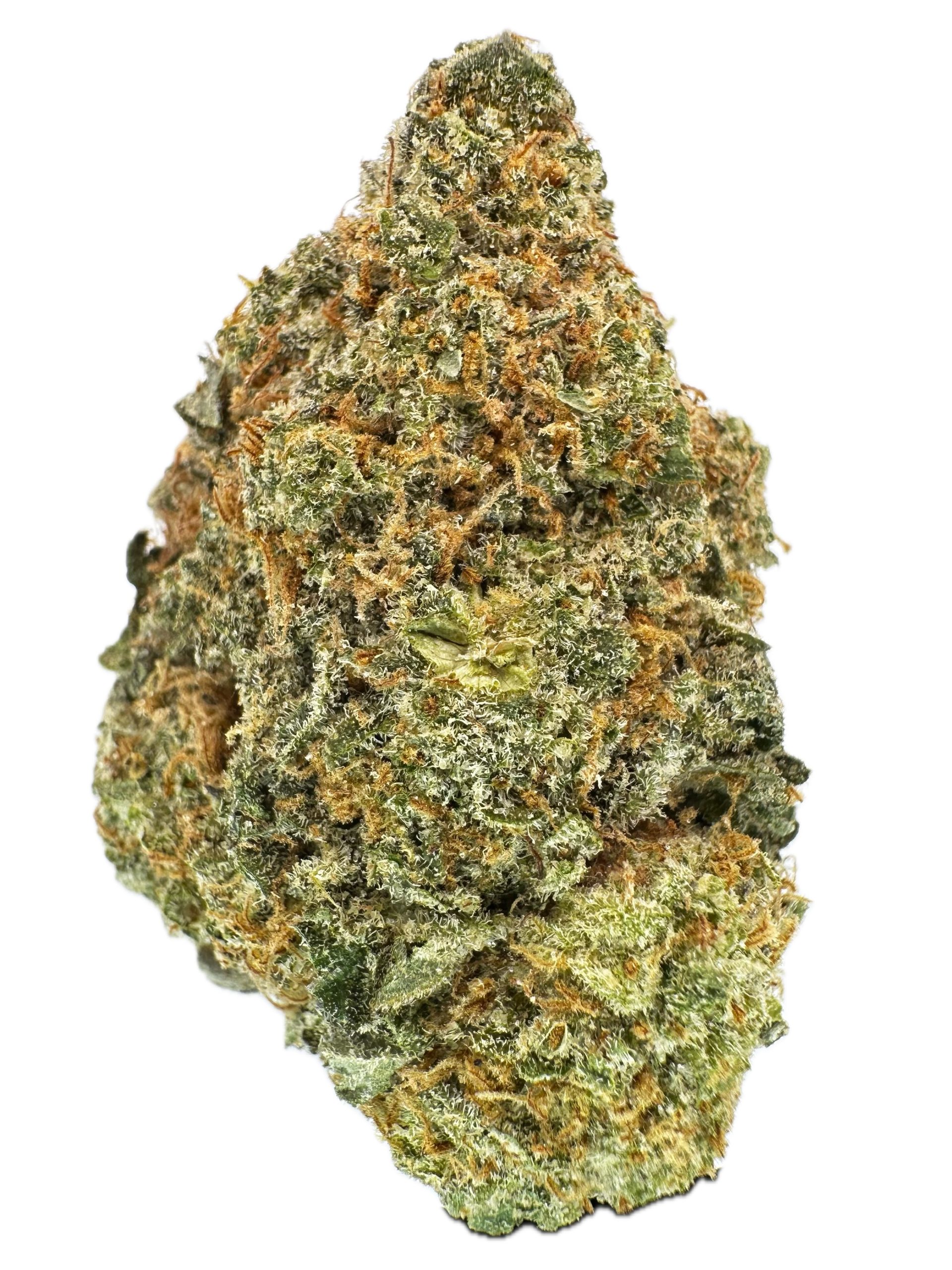 Tropicana Glookies – THC: 24% – Sativa Dominate  – 80% Sativa / 20% Indica
