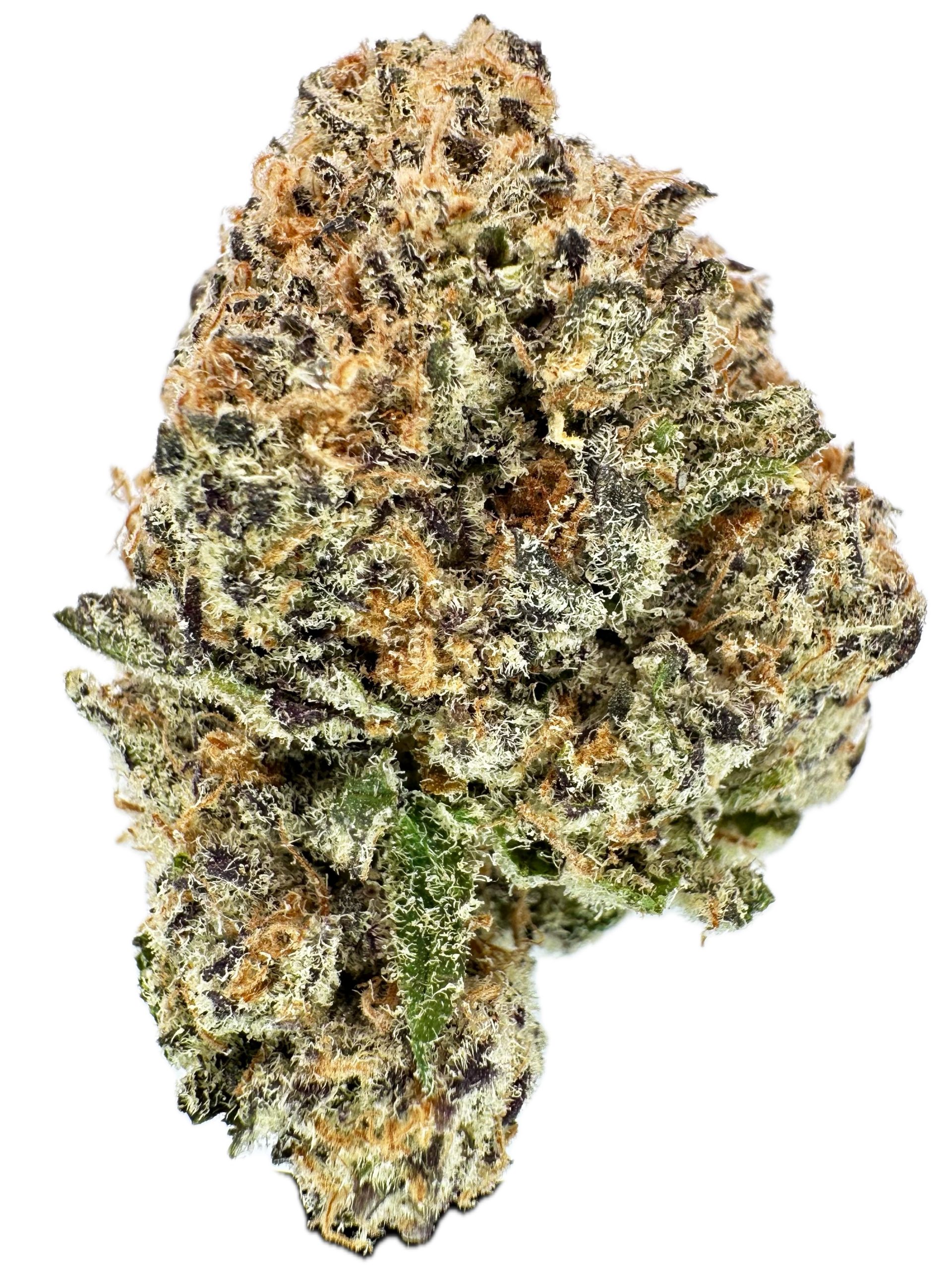 XOLO – THC: 30% – Sativa Dominant Hybrid – 90% Sativa / 10% Indica