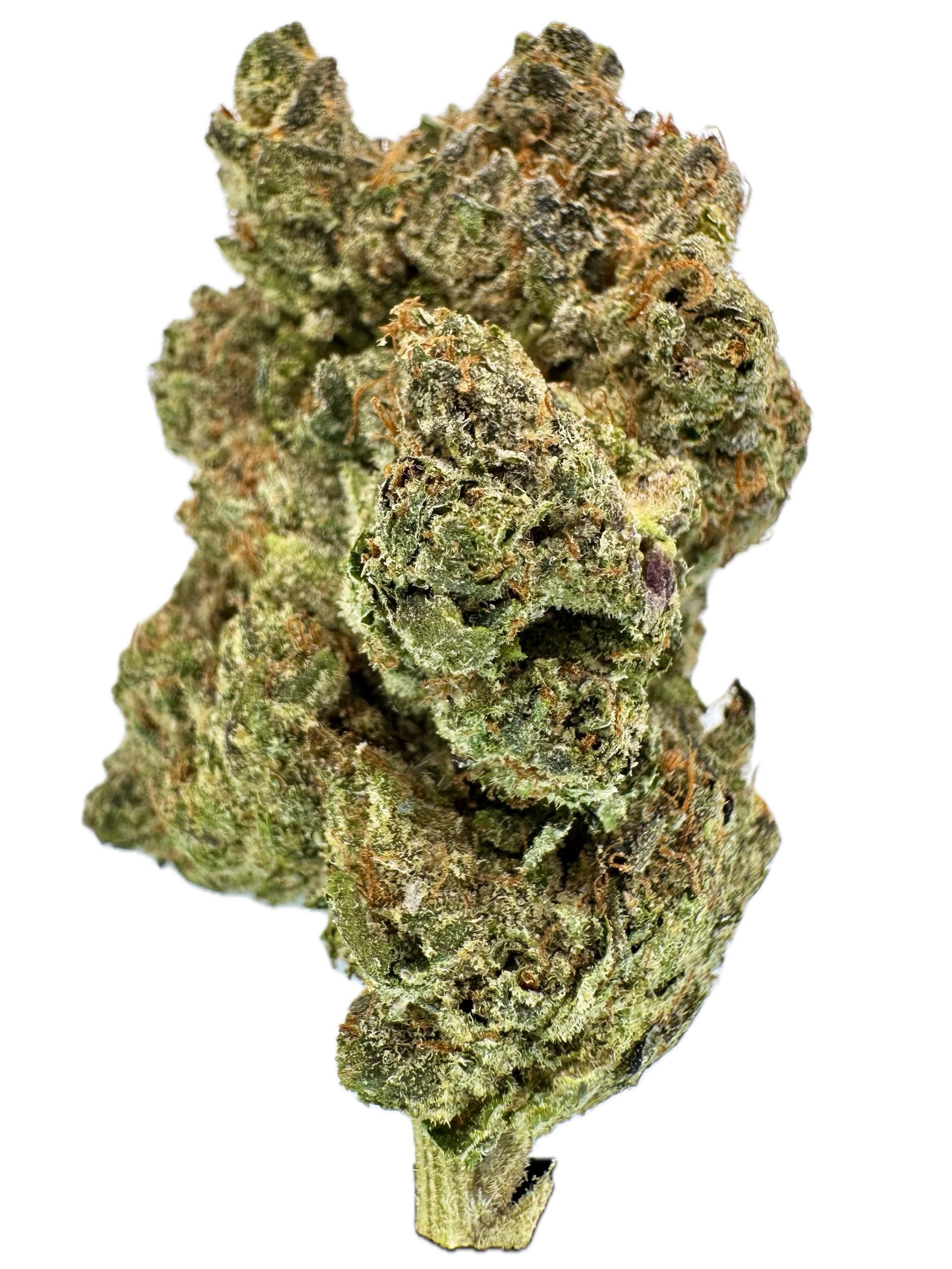 Tuna Kush – THC: 20% – Indica Dominant Hybrid – 70% Indica / 30% Sativa