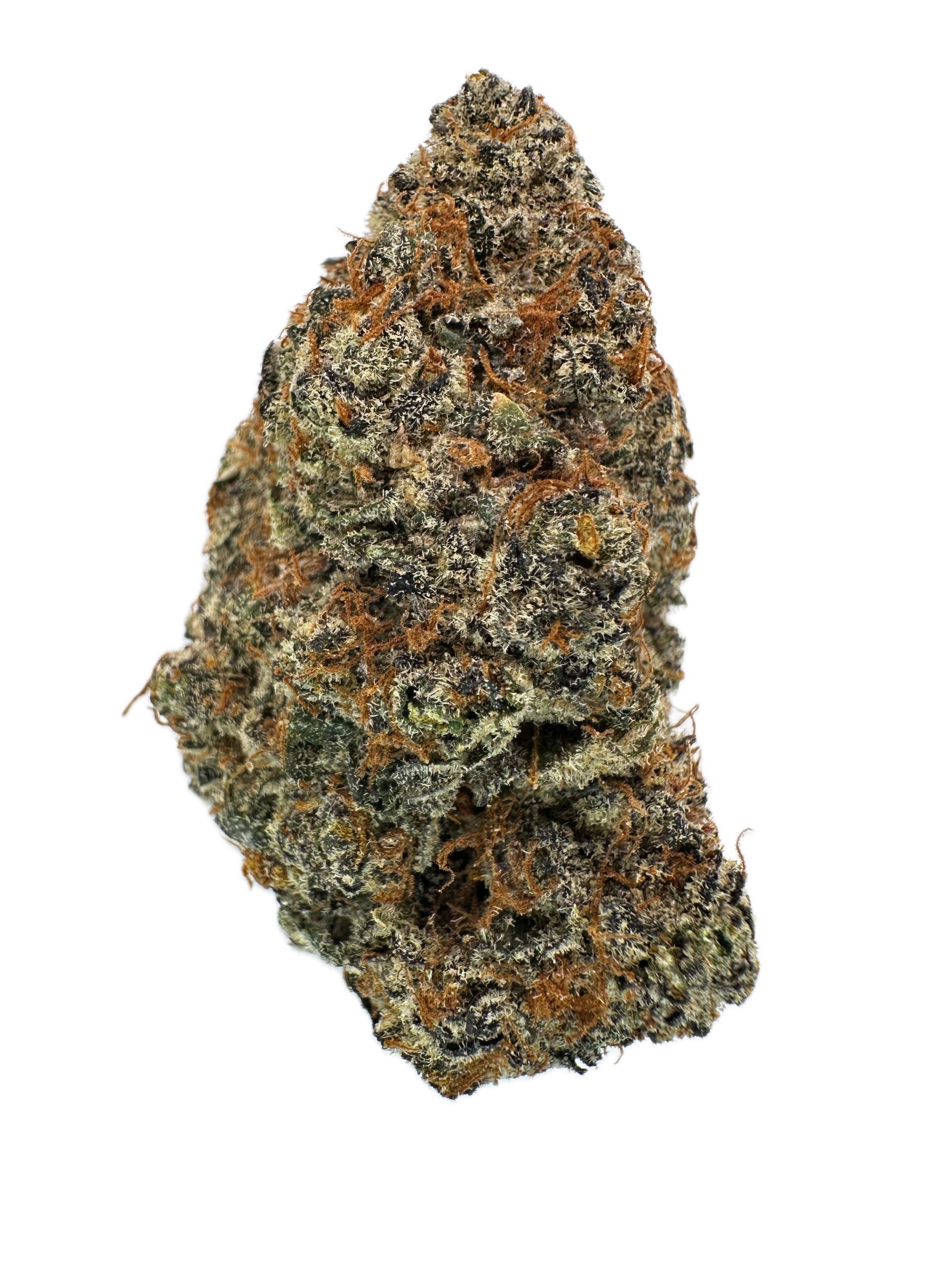 Congo Kashmir – THC: 31% – Sativa Dominant Hybrid – 90% Sativa / 10% Indica