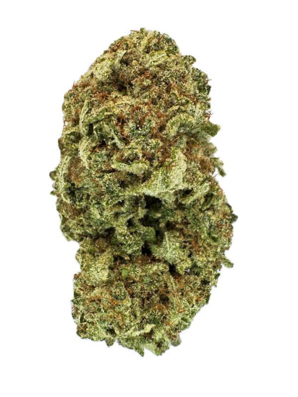 Grease Monkey - THC: 18% - Indica Dominant Hybrid - 70% Indica / 30% Sativa