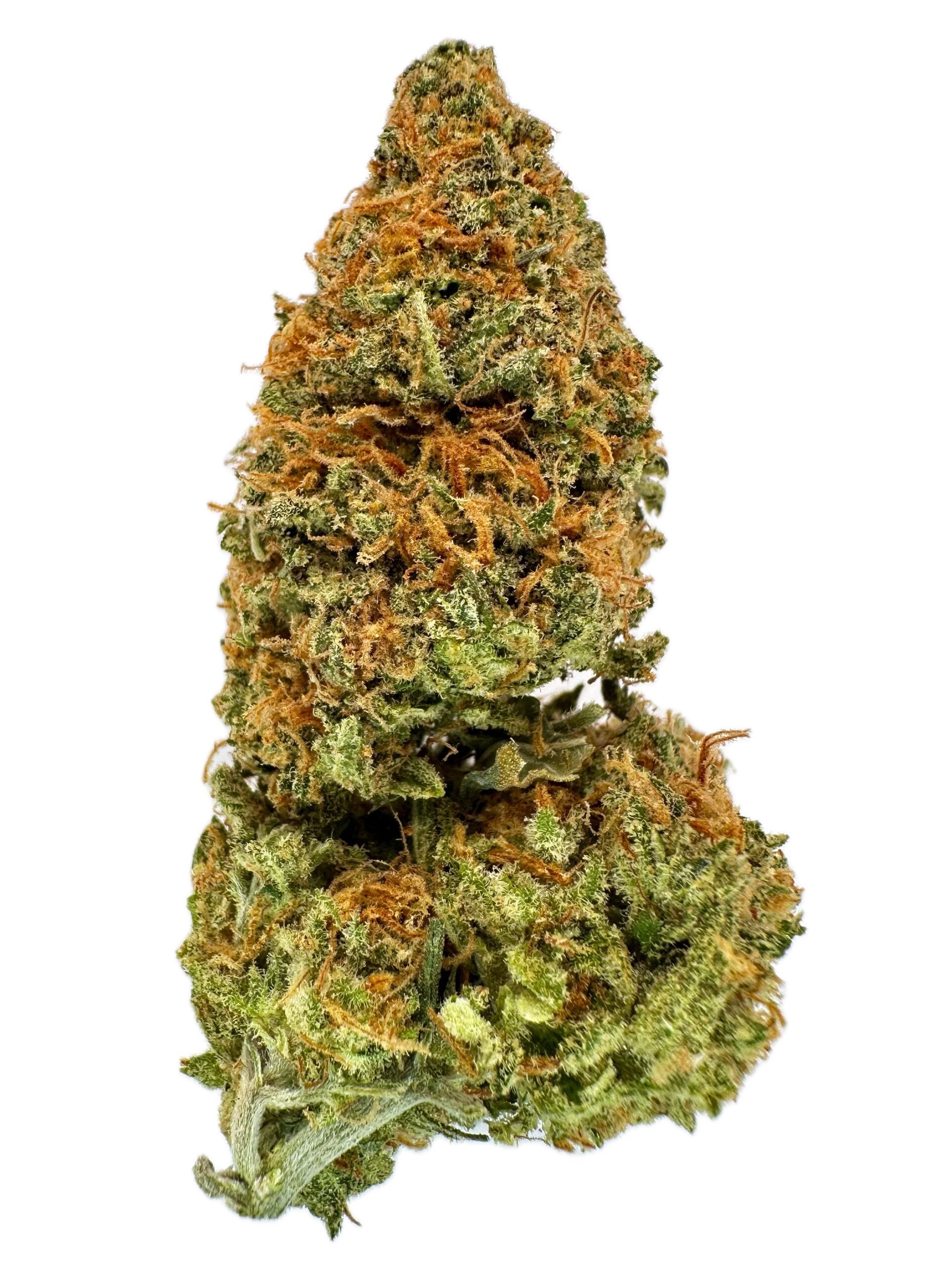 Tropical Storm – THC: 22% – Hybrid – 50% Sativa / 50% Indica