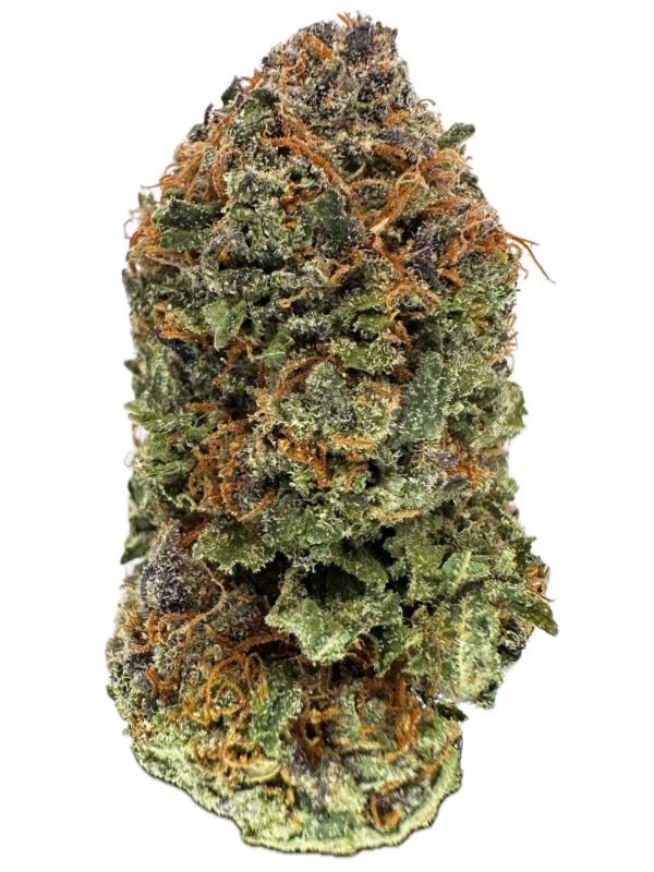 Zombie Wolf - THC: 28% - Sativa Dominant Hybrid - 90% Sativa / 10% Indica