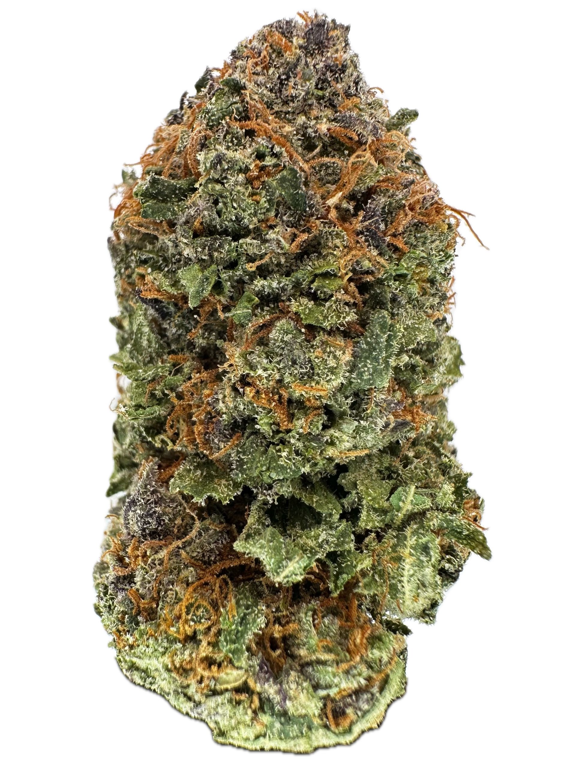 Zombie Wolf – THC: 28% – Sativa Dominant Hybrid – 90% Sativa / 10% Indica