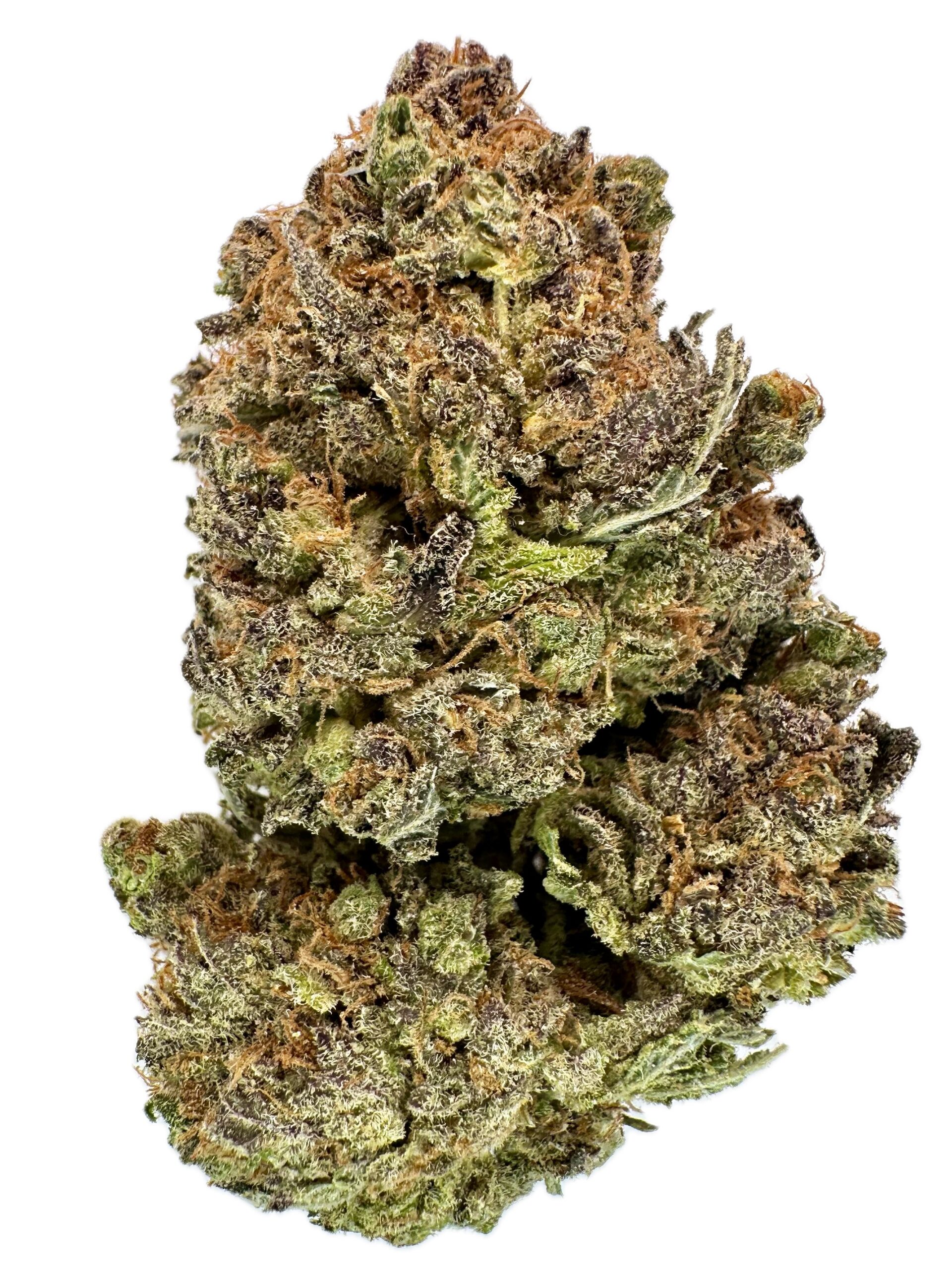 Black Tuna – THC: 23% – Hybrid – 50% Sativa /50% Indica