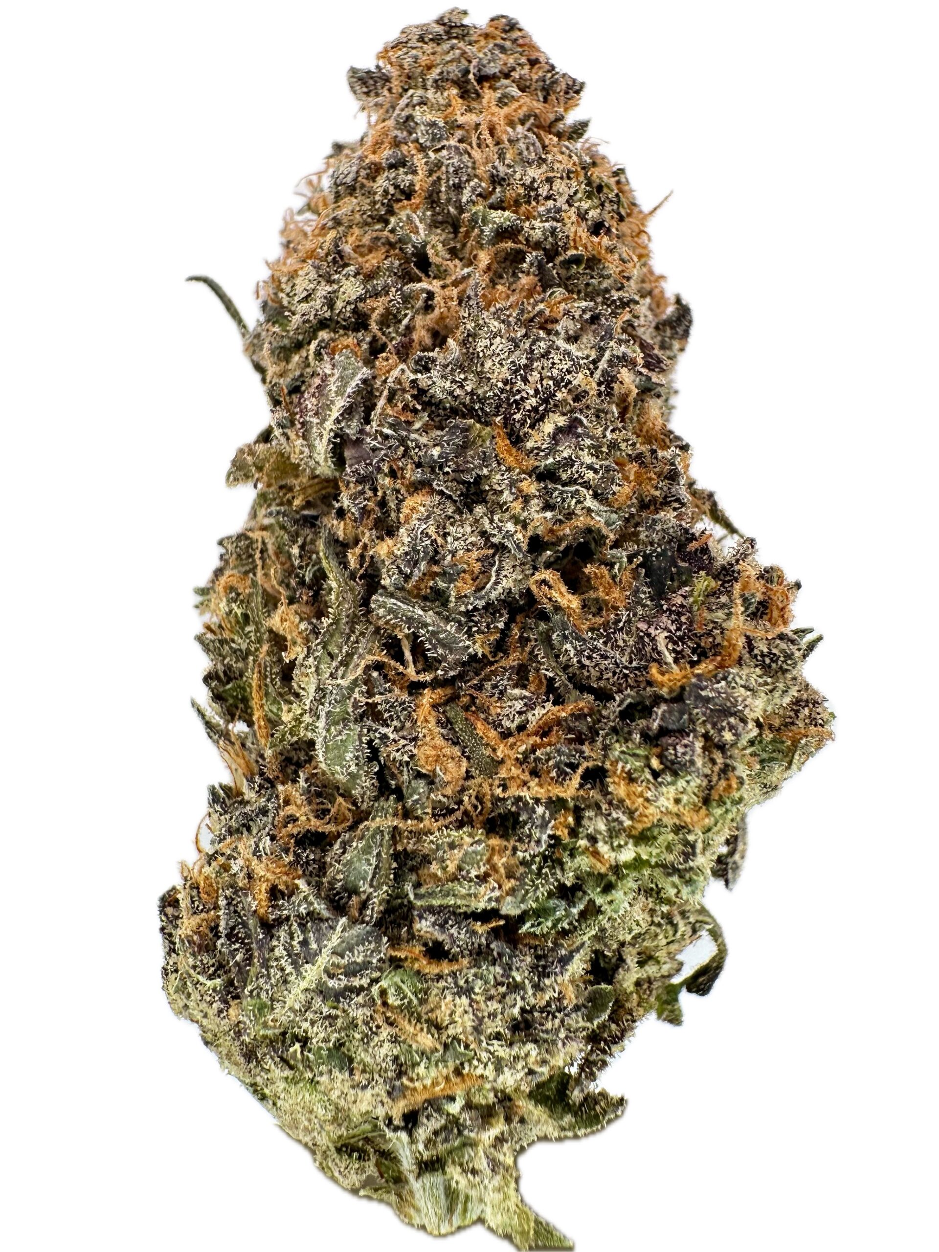 Blue Mendo Dream – THC: 26% – Hybrid – 50% Sativa /50% Indica