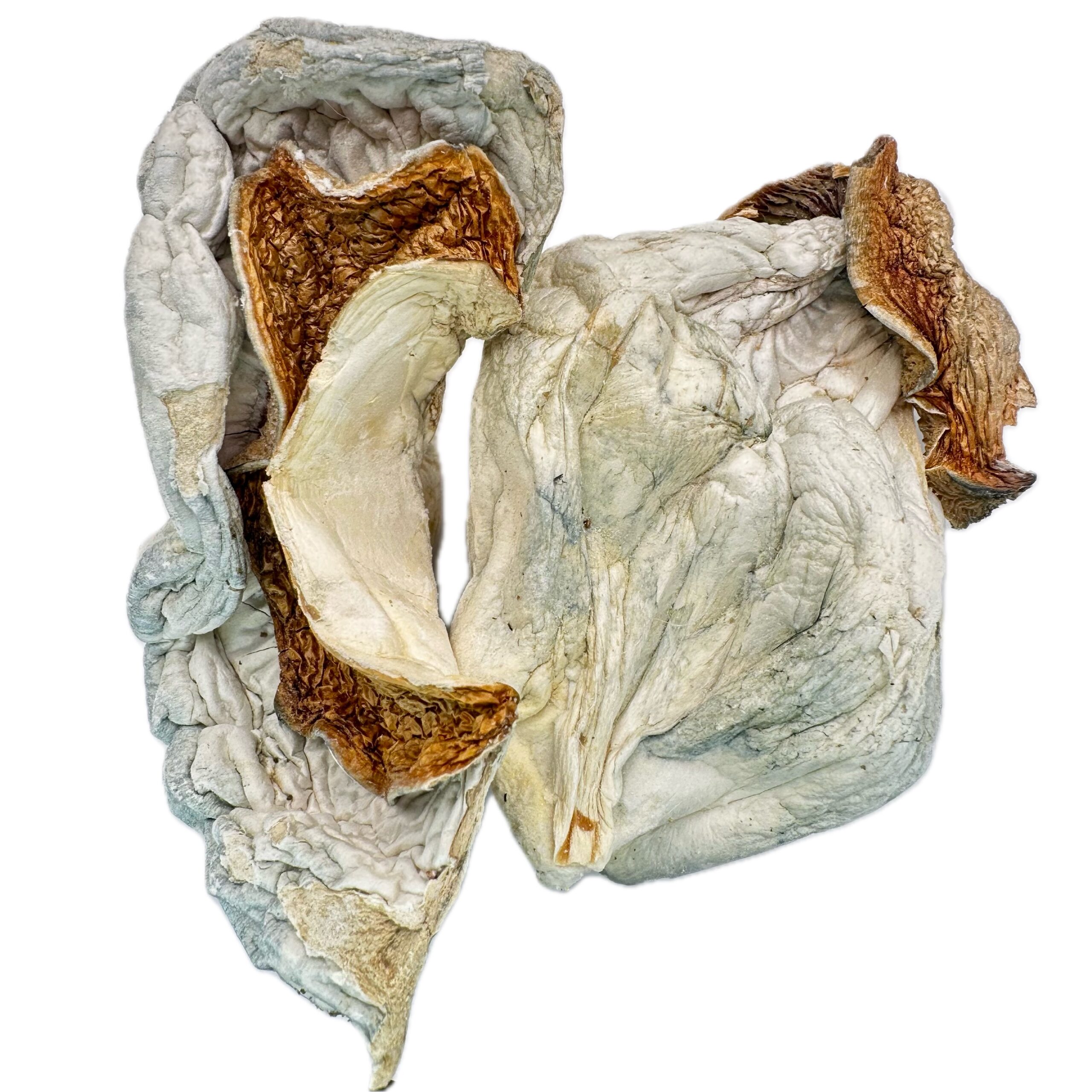 King Kong – Dry Mushrooms