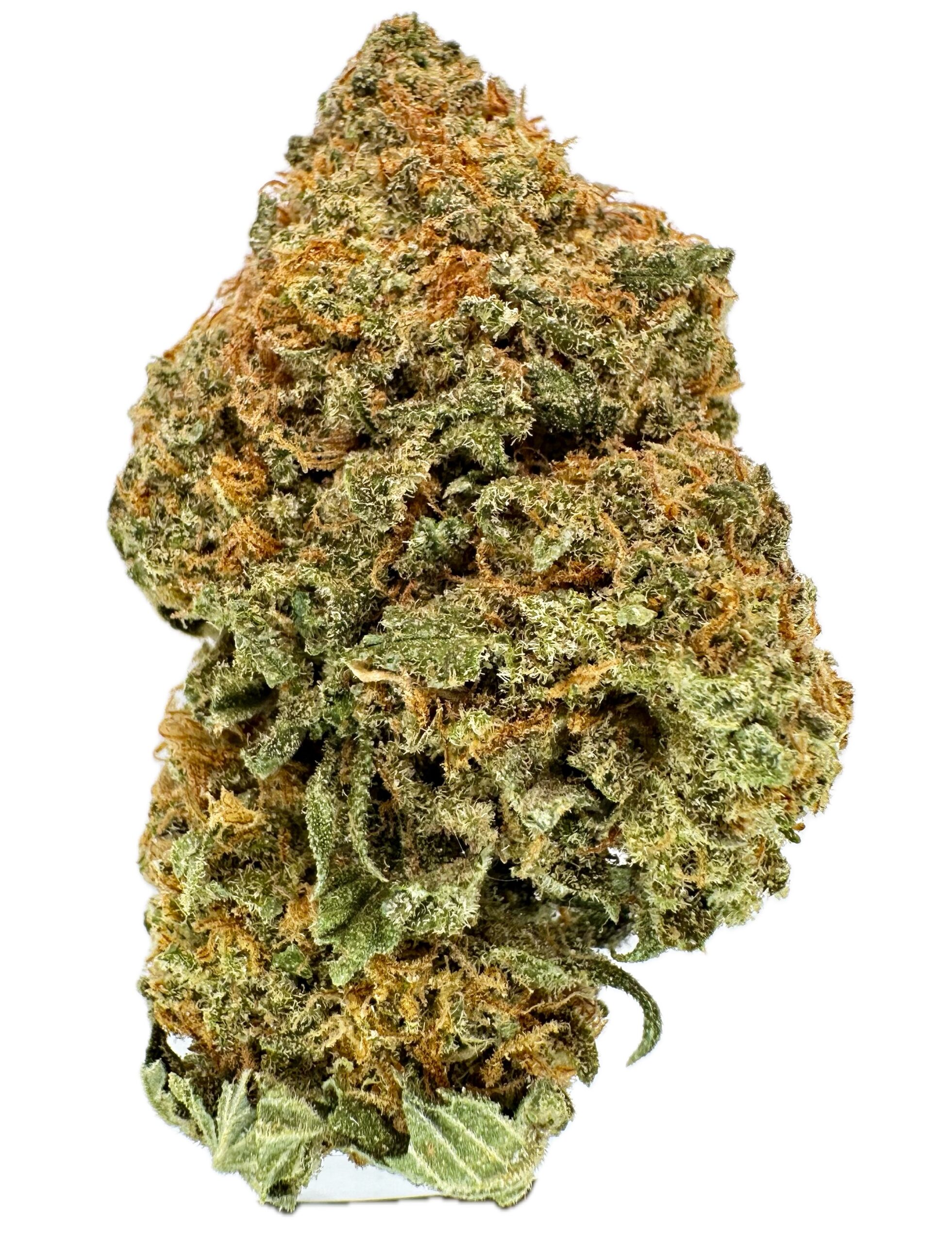 Tropicana Cookies – THC: 21% – Sativa Dominant Hybrid – 70% Sativa / 30% Indica