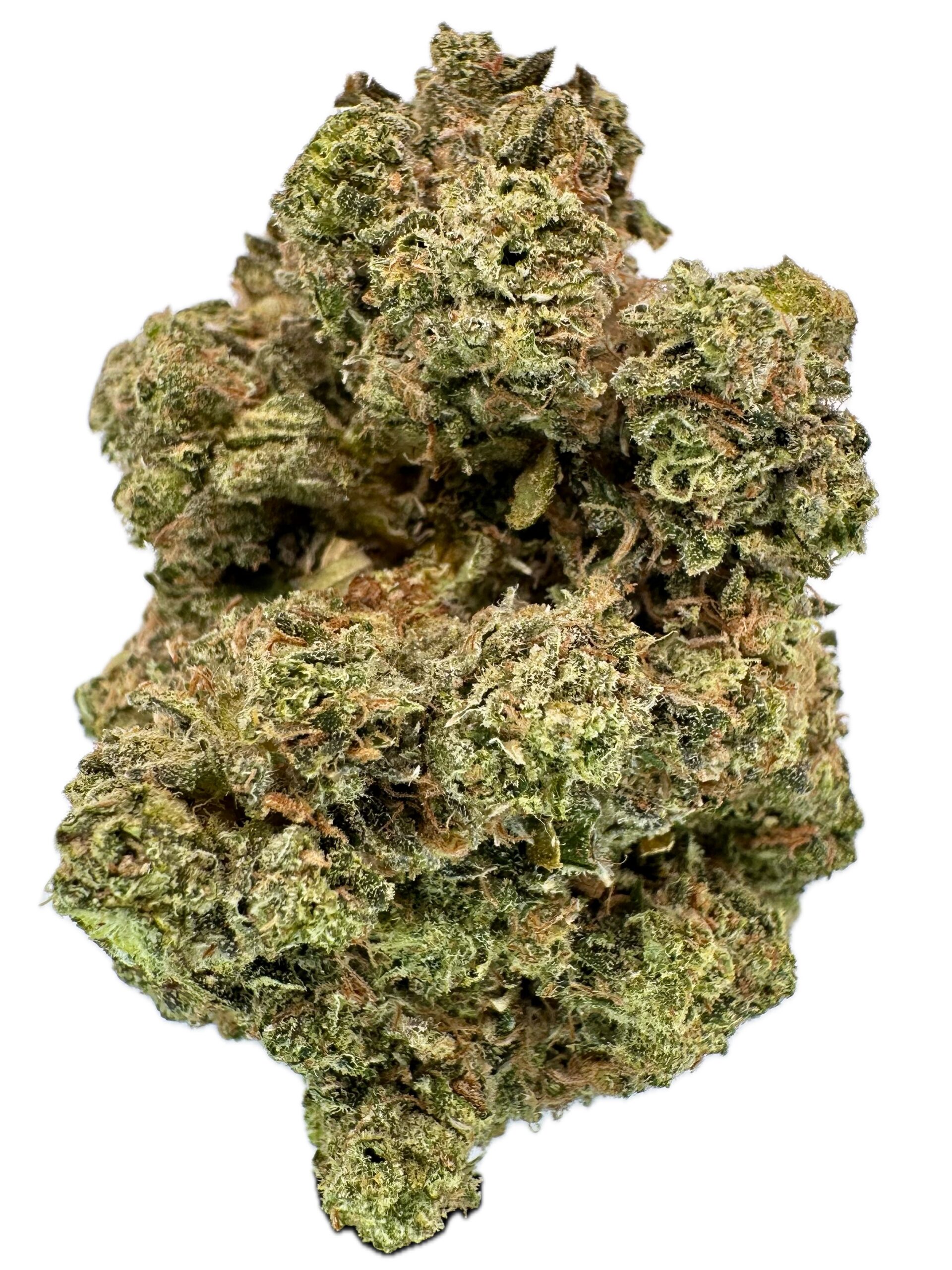 Jokerz x Menthol – THC: 26% – Indica Dominant Hybrid – 70% Indica / 30% Sativa