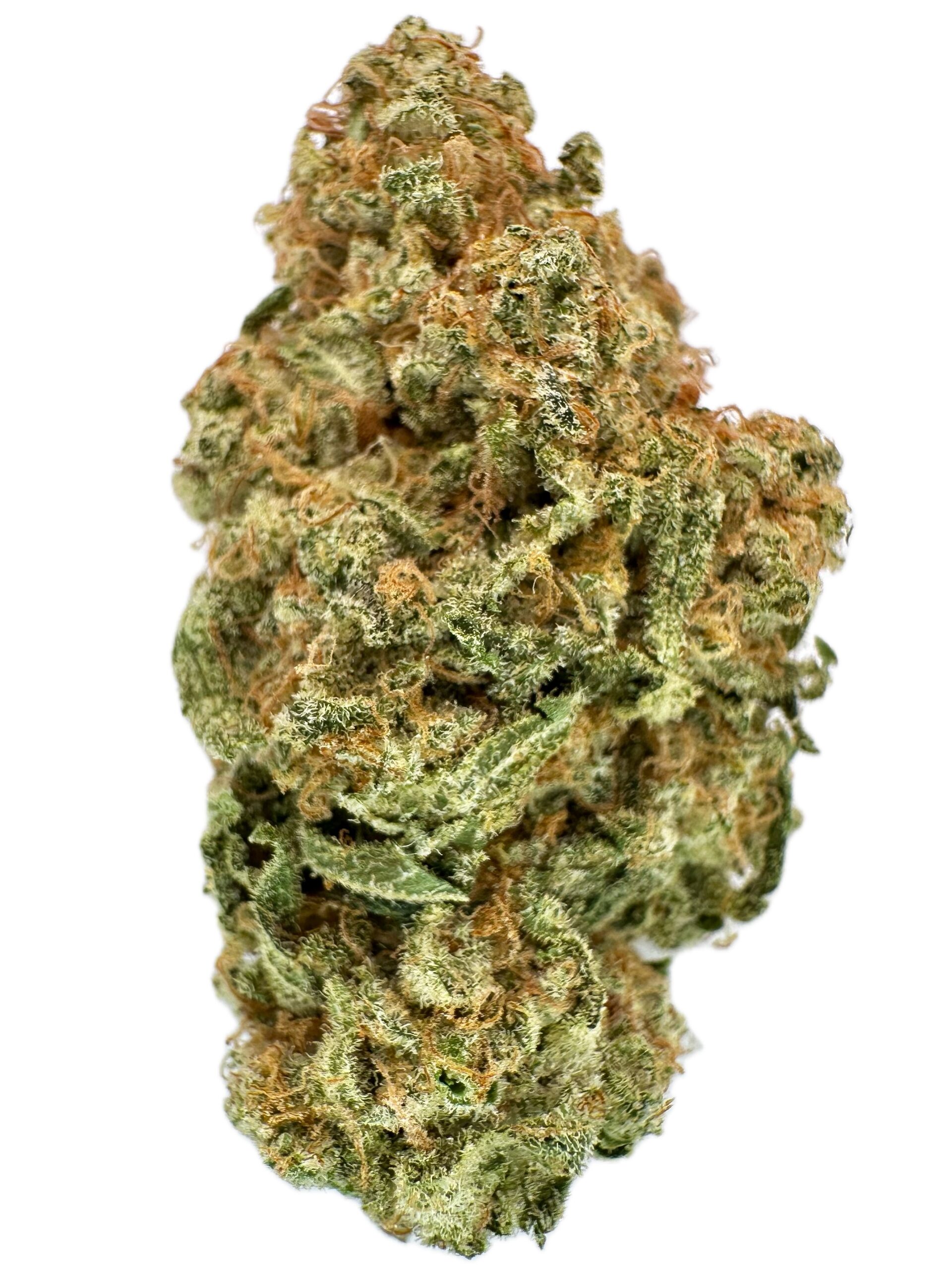 MAC Jäger – THC: 28% – Sativa Dominant Hybrid – 80% Sativa / 20% Indica