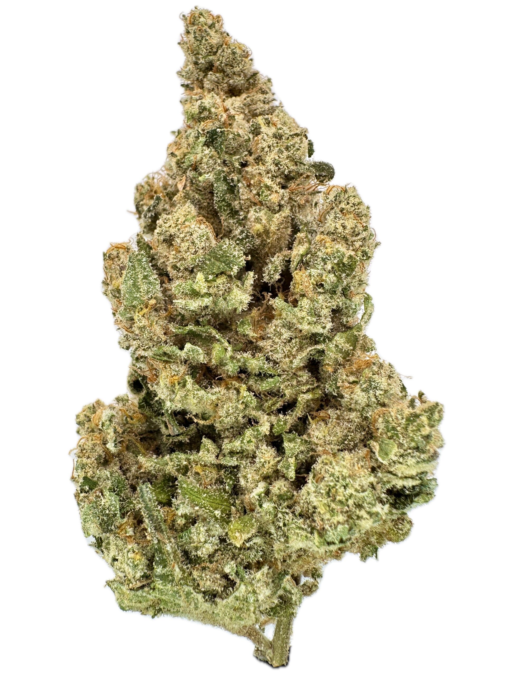 Gorilla Blue – THC: 26% – Hybrid – 50% Sativa /50% Indica