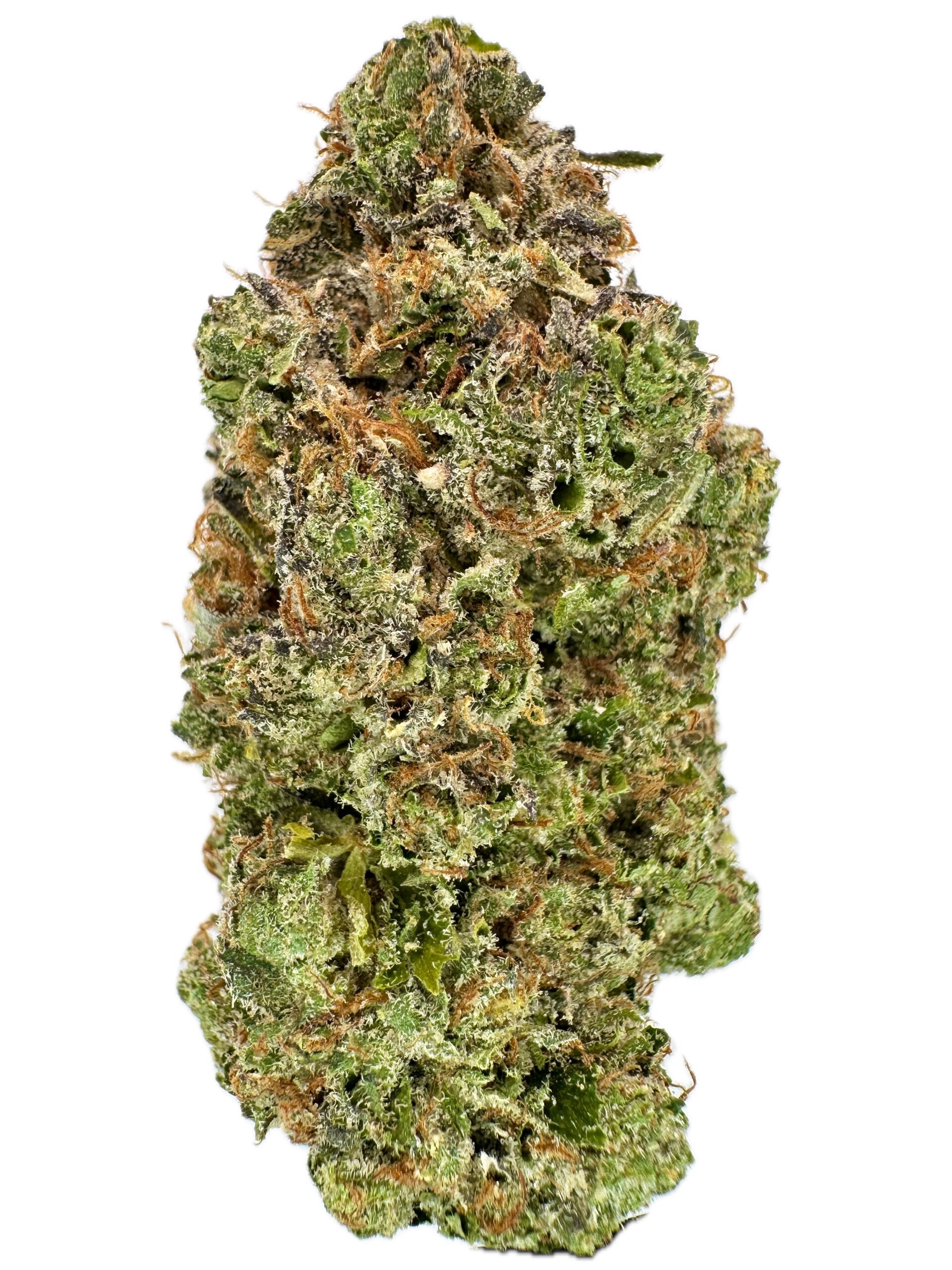 Death Master – THC: 28% – Hybrid – 50% Sativa /50% Indica