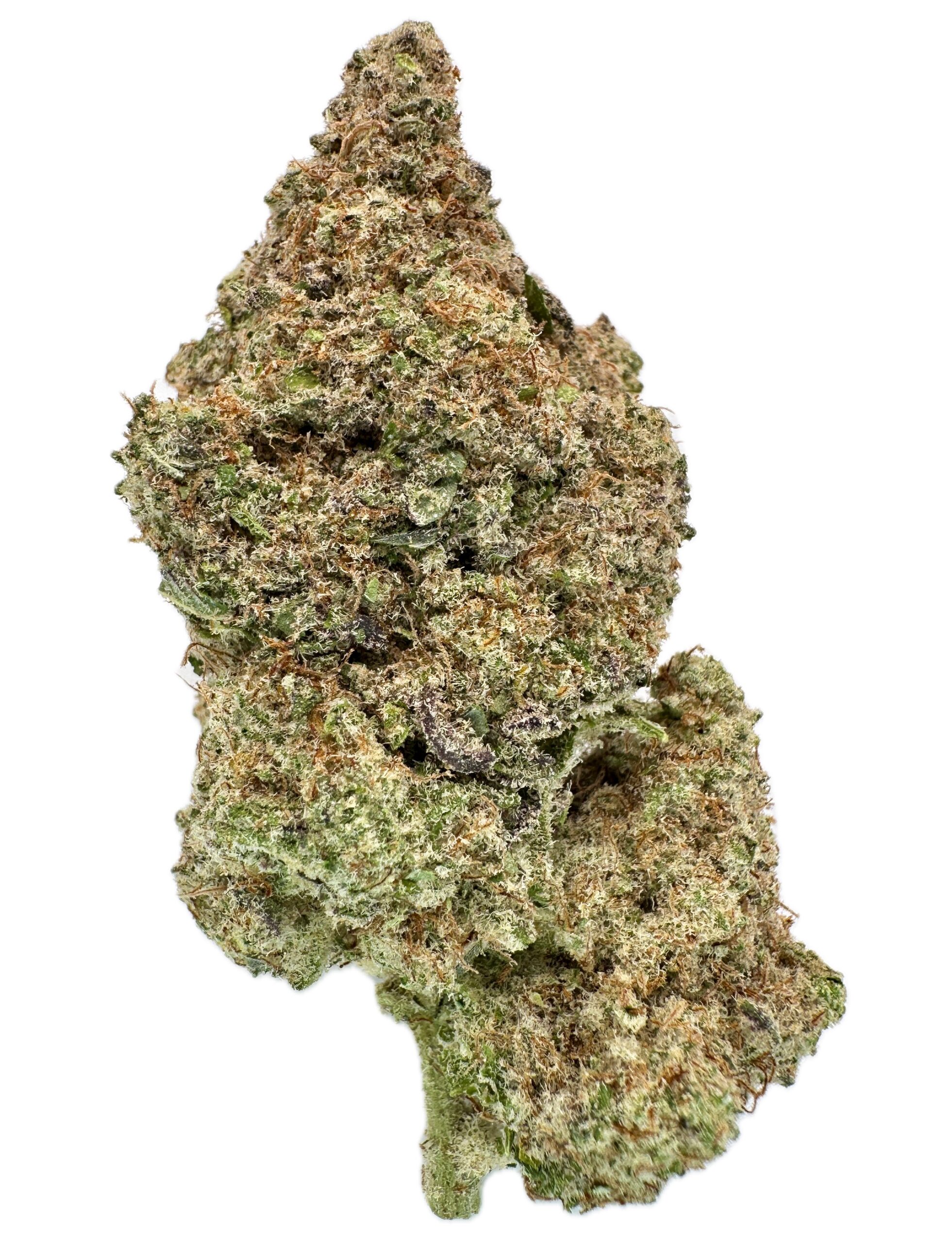 Hempstar – THC: 24% – Sativa Dominant Hybrid – 90% Sativa / 10% Indica