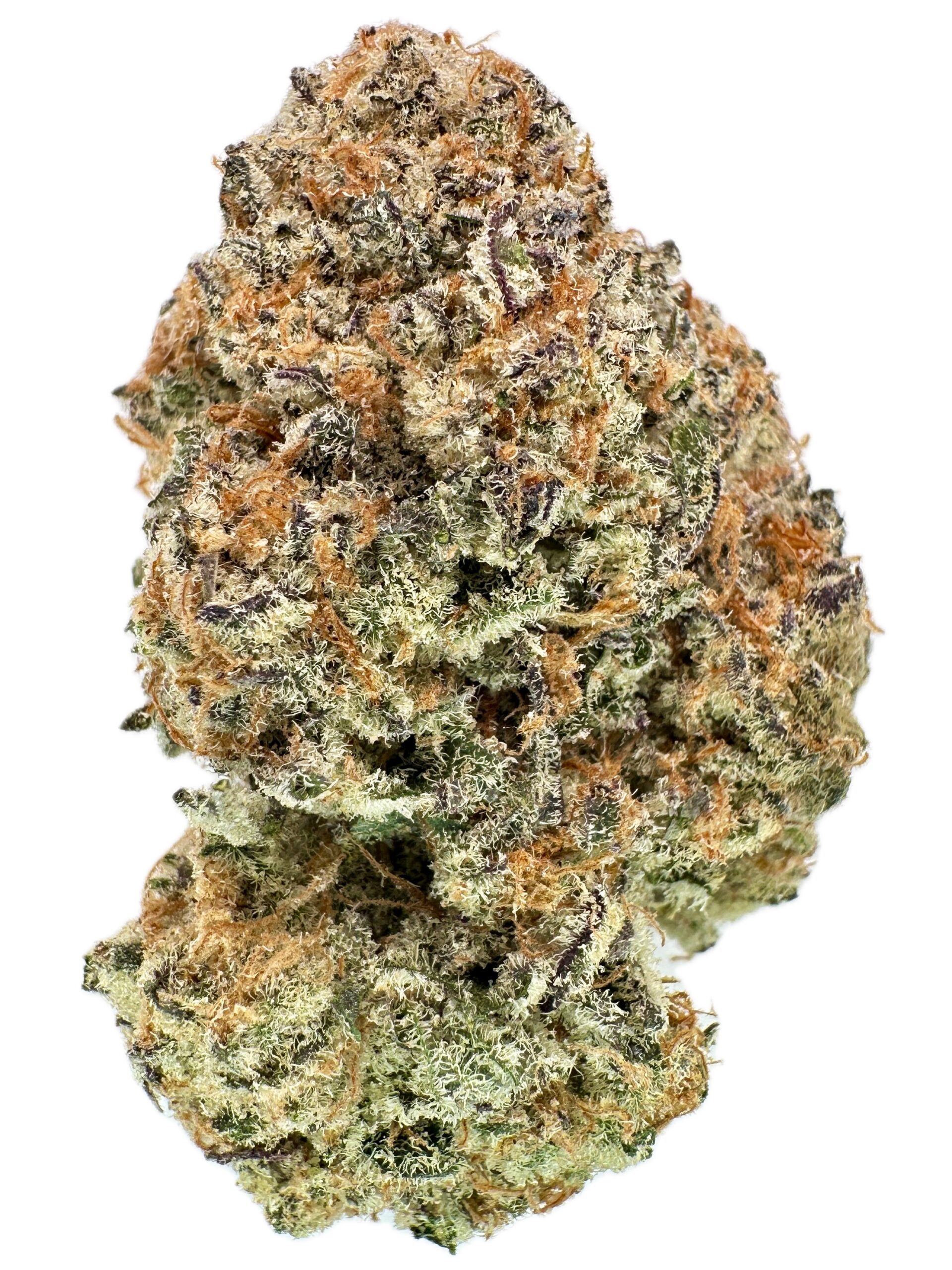 Octopussy – THC: 26% – Hybrid – 50% Sativa /50% Indica